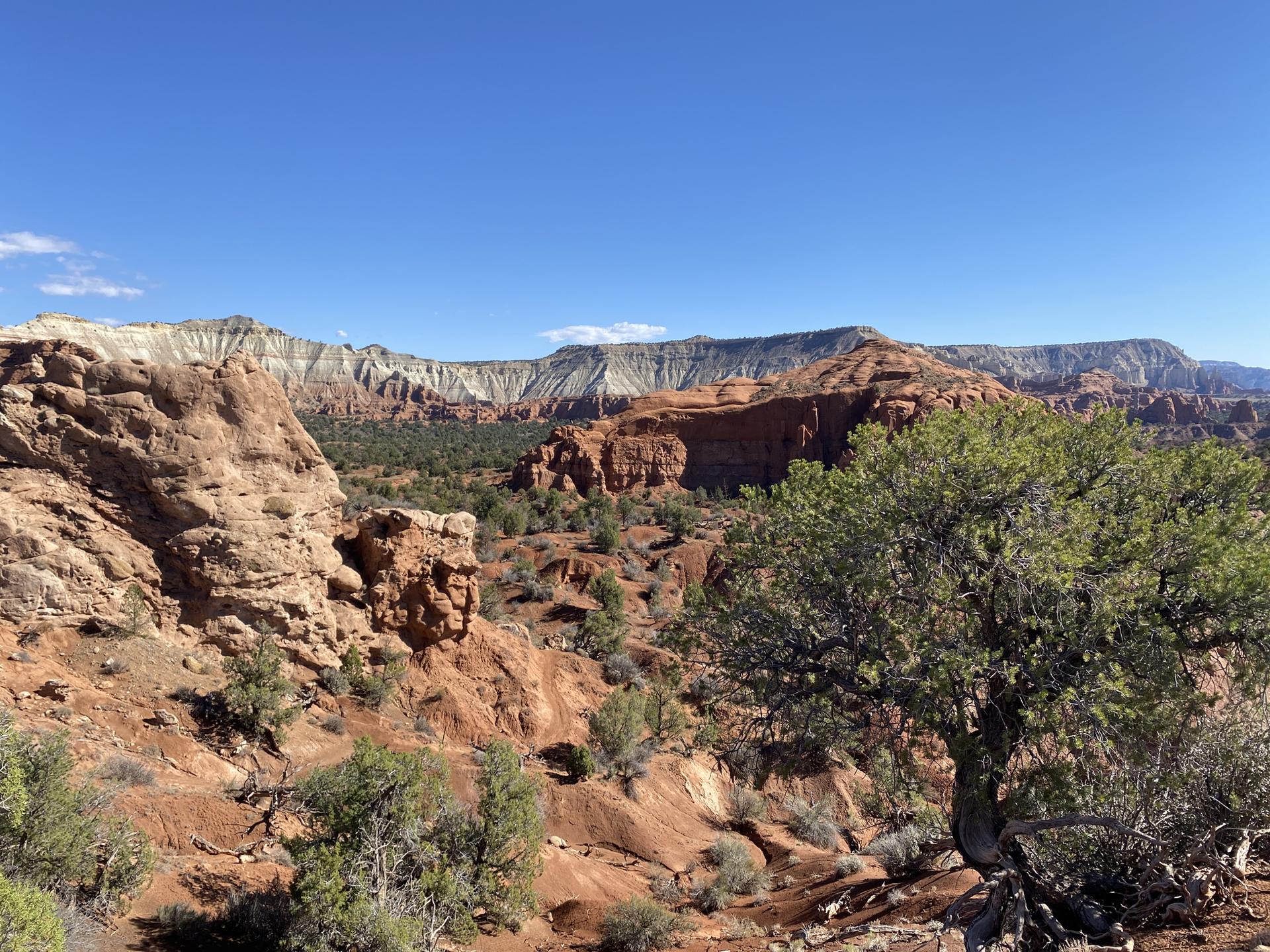 Expansive desert landscape with red and white rock formations under a clear blue sky.