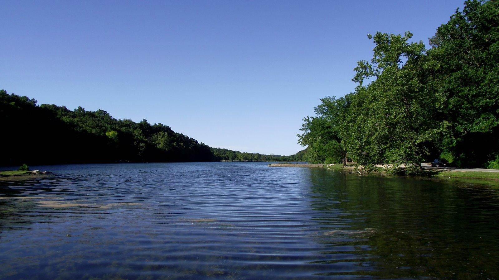 Wide calm lake surrounded by dense green trees under a clear blue sky.