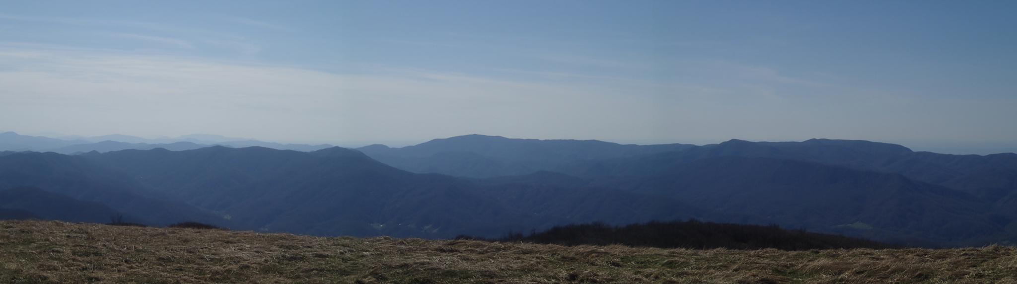 Panoramic view of layered blue mountains under a clear sky, dry grass foreground.