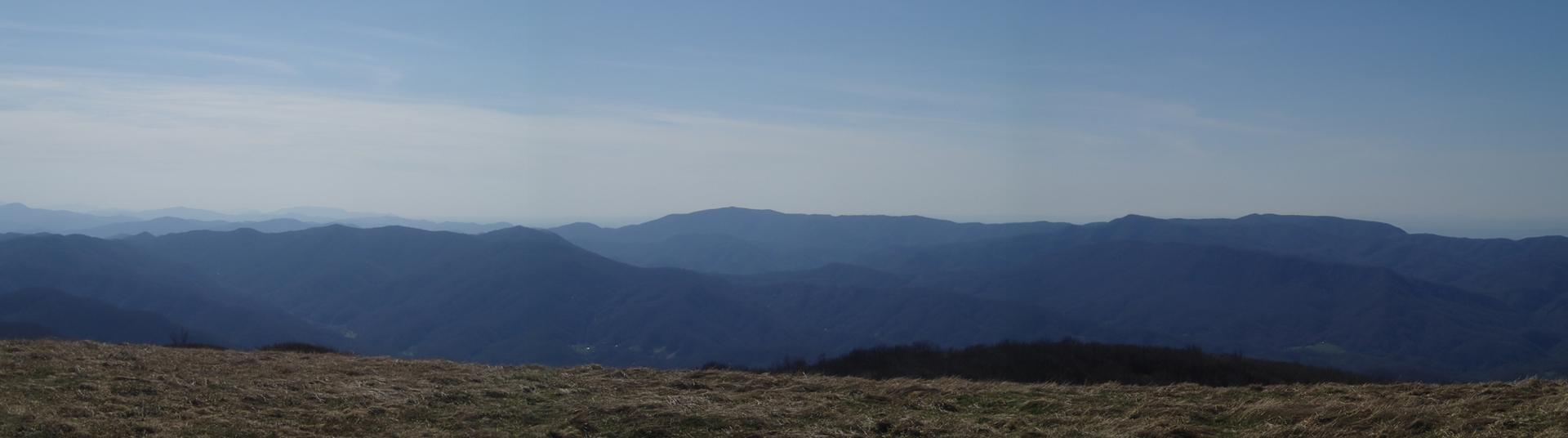 Panoramic view of layered blue mountains under a clear sky, dry grass foreground.