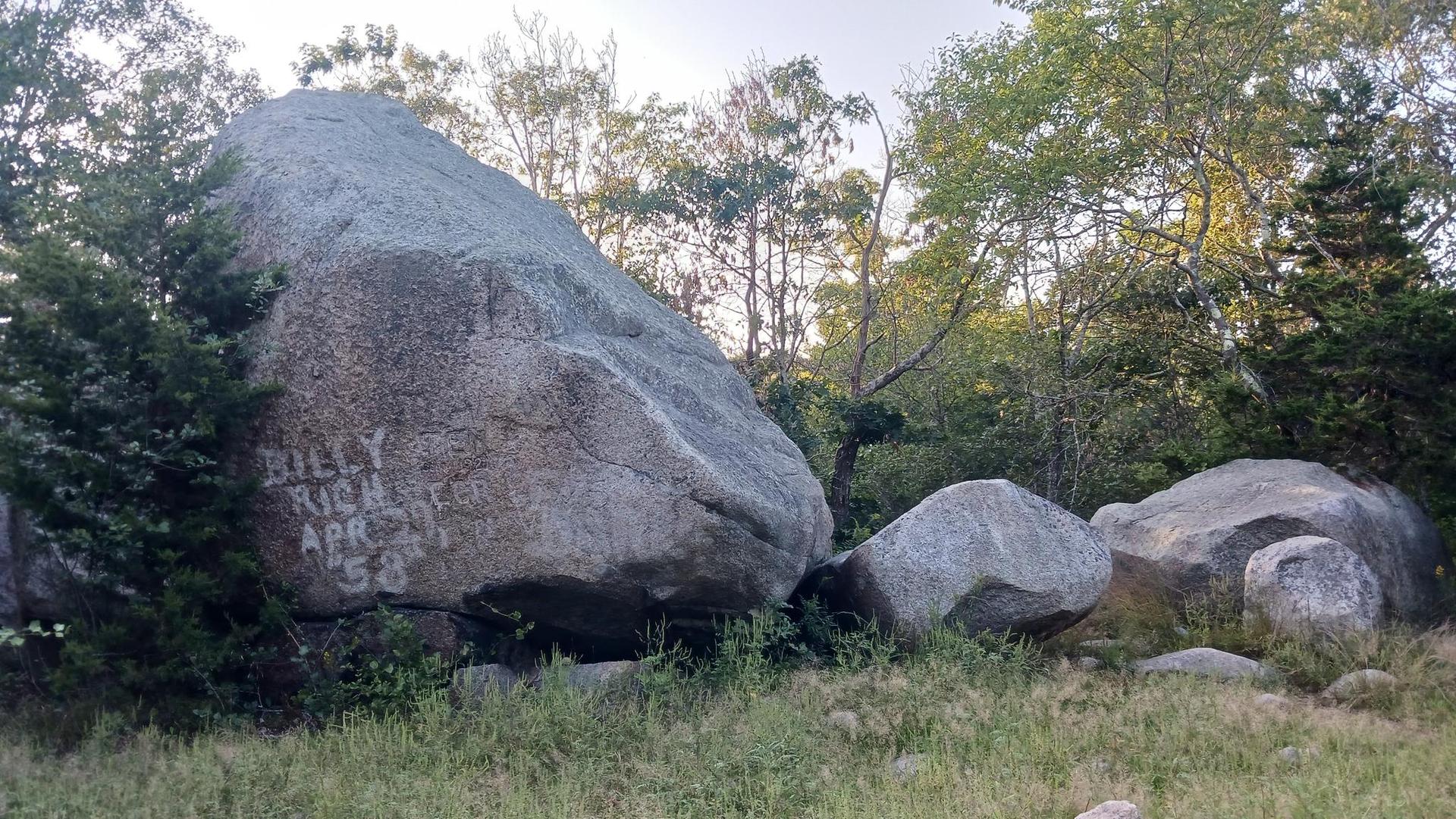 Large boulders with graffiti, surrounded by trees and grass under natural light.