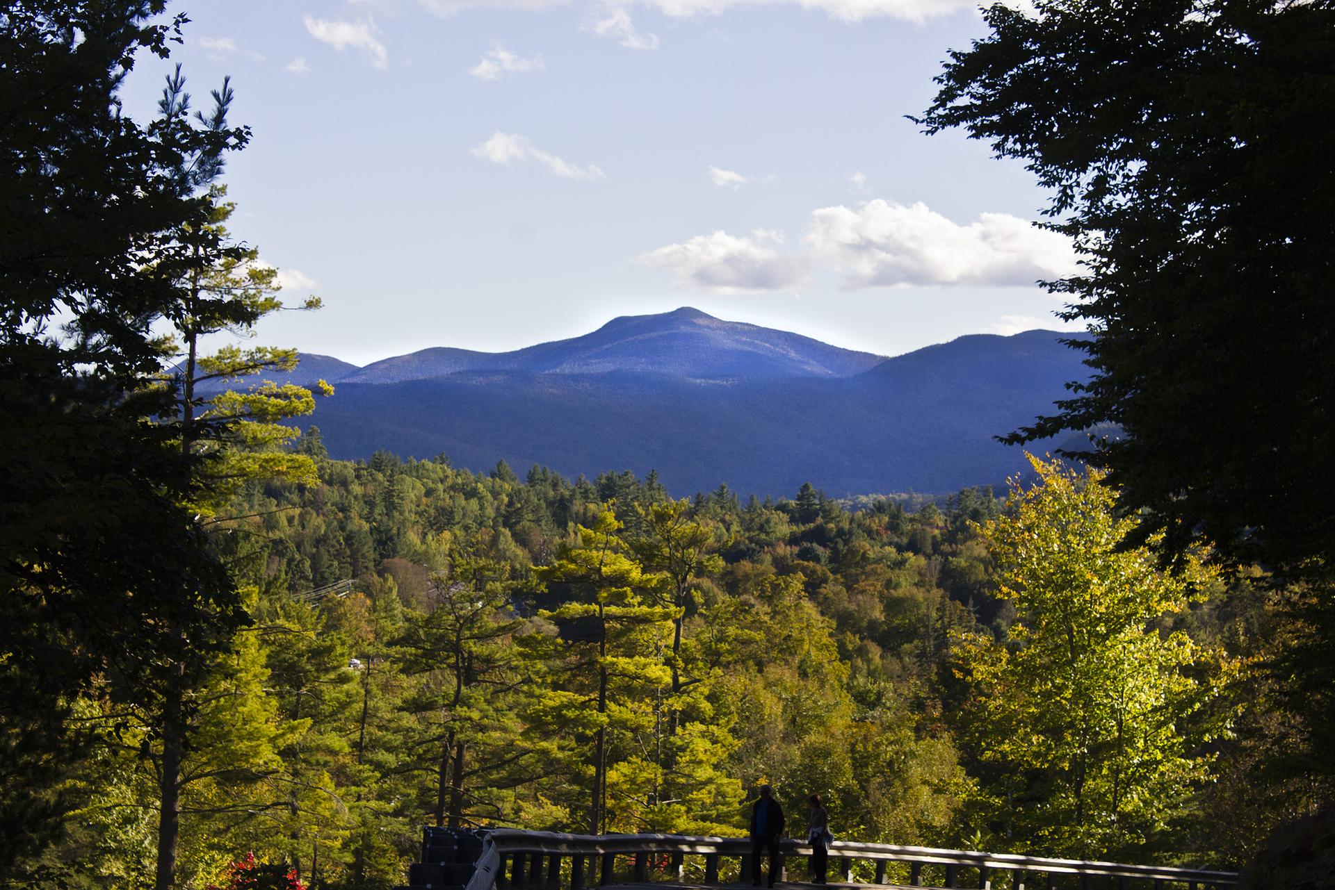 People admire a scenic mountain and forest landscape on a bright day.