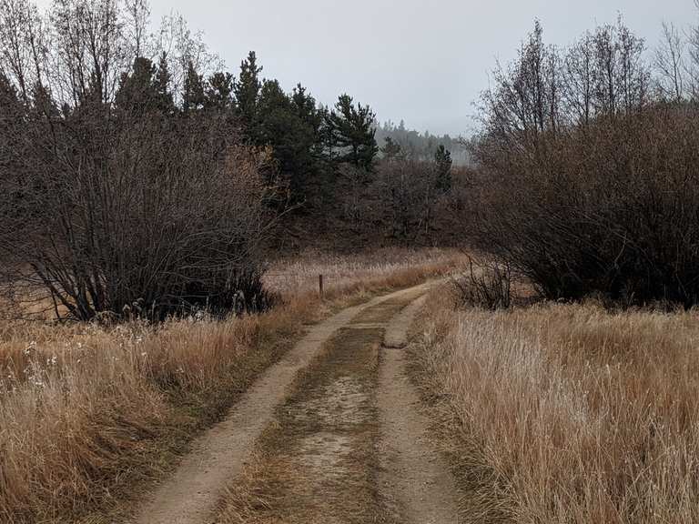 DeLonde Homestead Routes for Walking and Hiking | Komoot