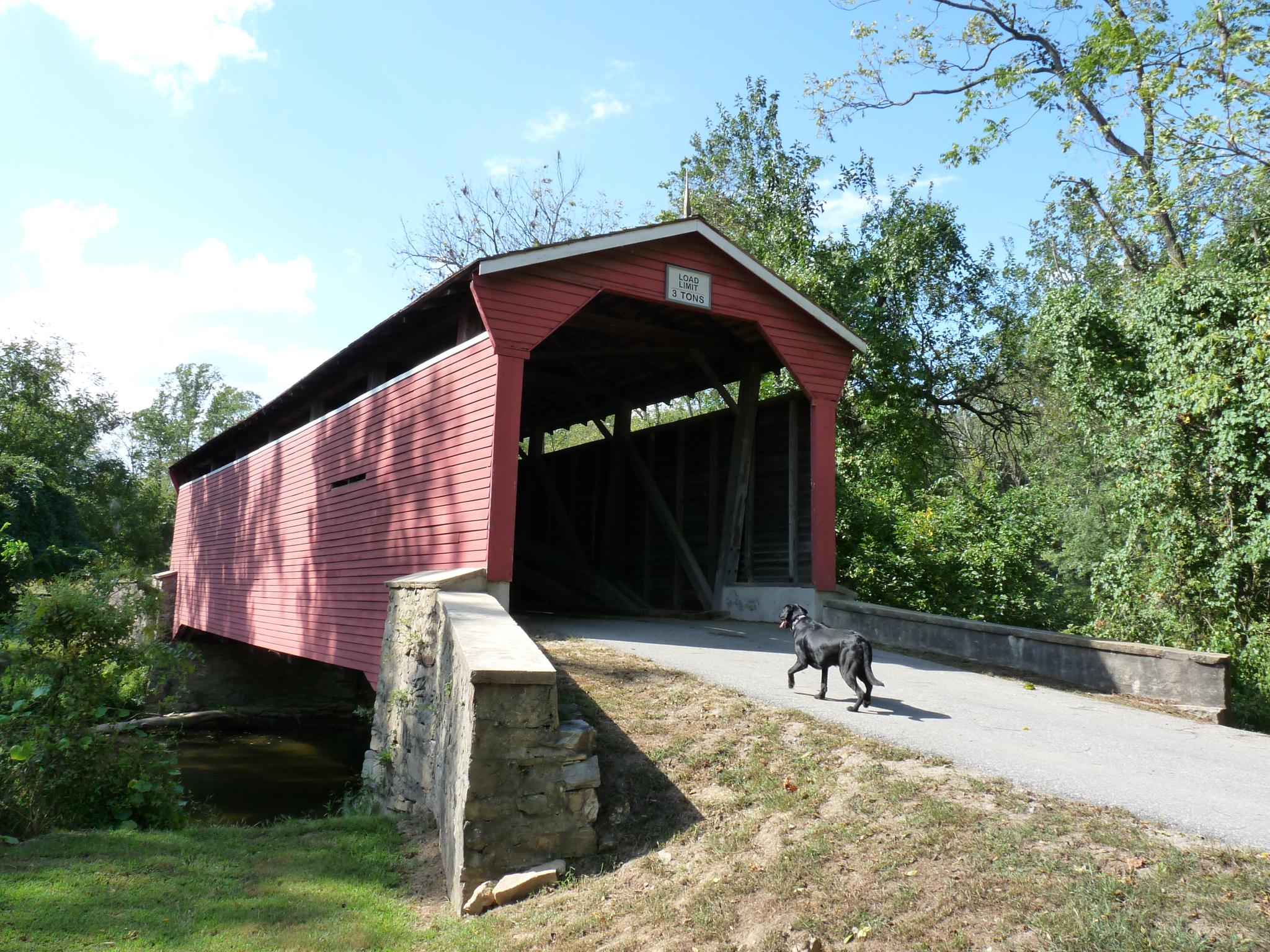 A black dog walks towards a red covered bridge on a sunny day.