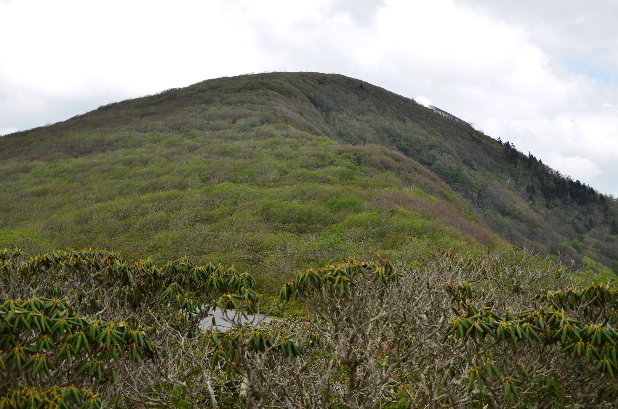 A large, green mountain peak under an overcast sky. - Douglas Falls Trail