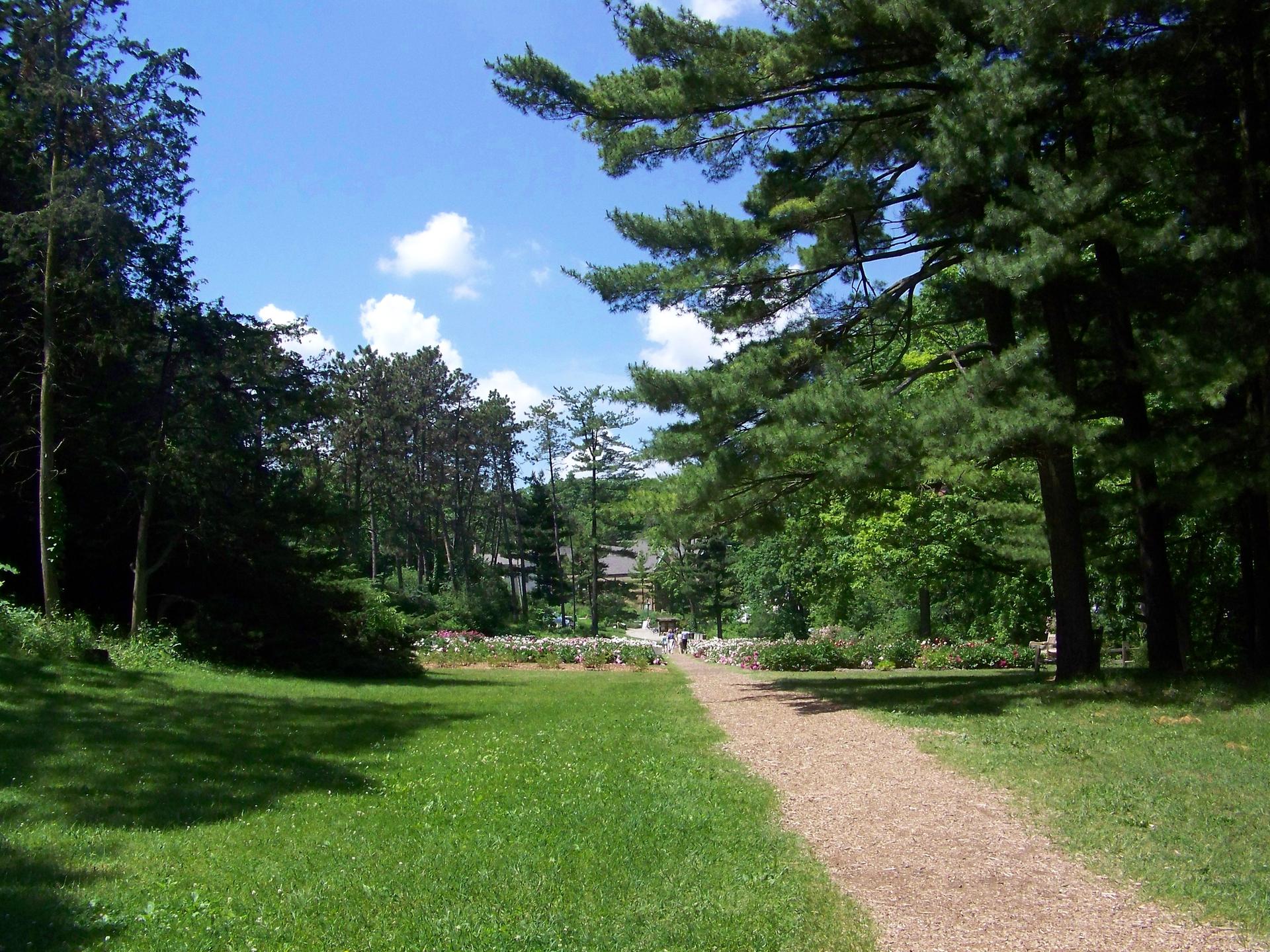 Sunny dirt path through a green park with tall trees and distant people.