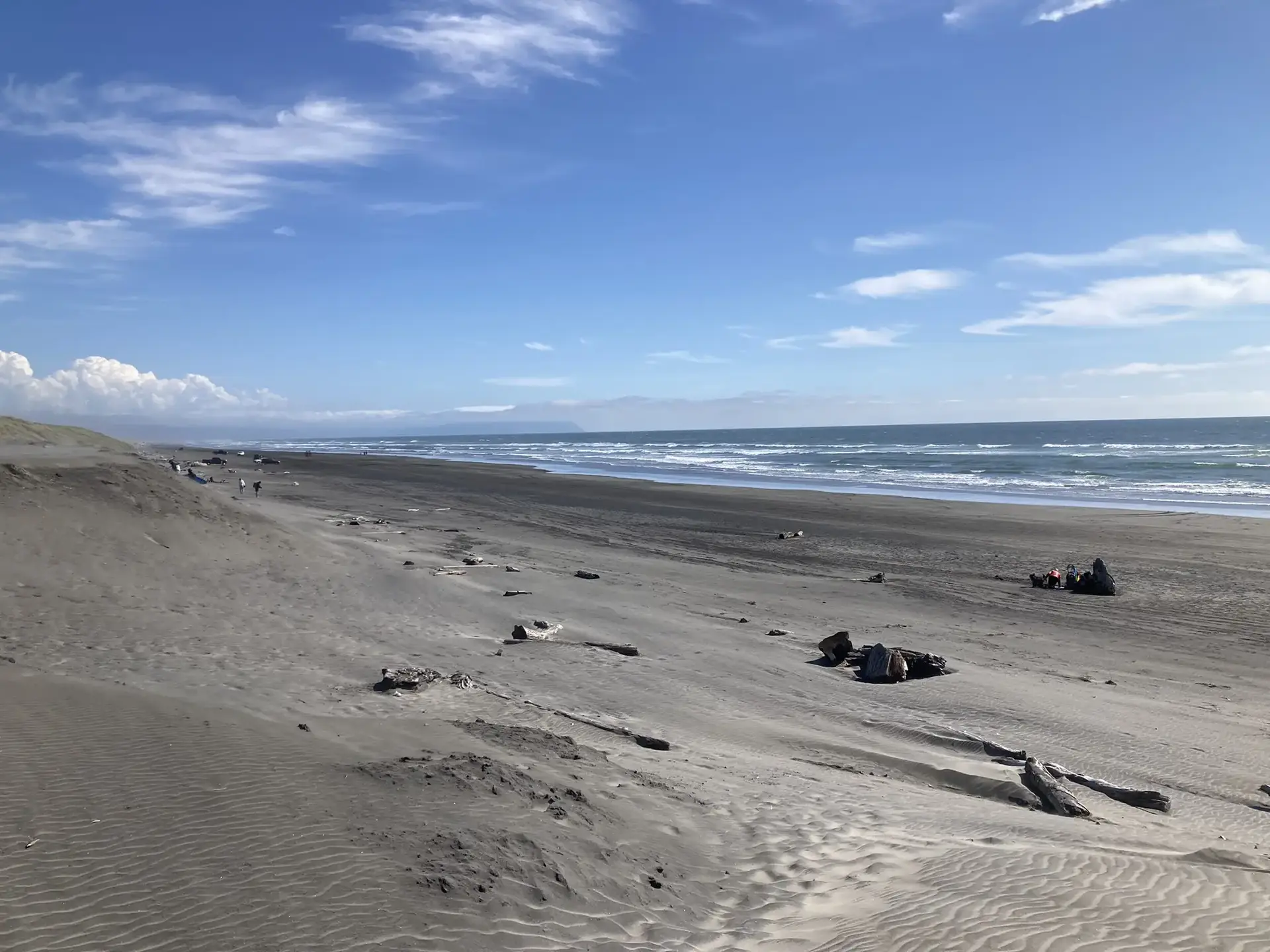 Wide sandy beach with driftwood under a bright blue sky and ocean waves.