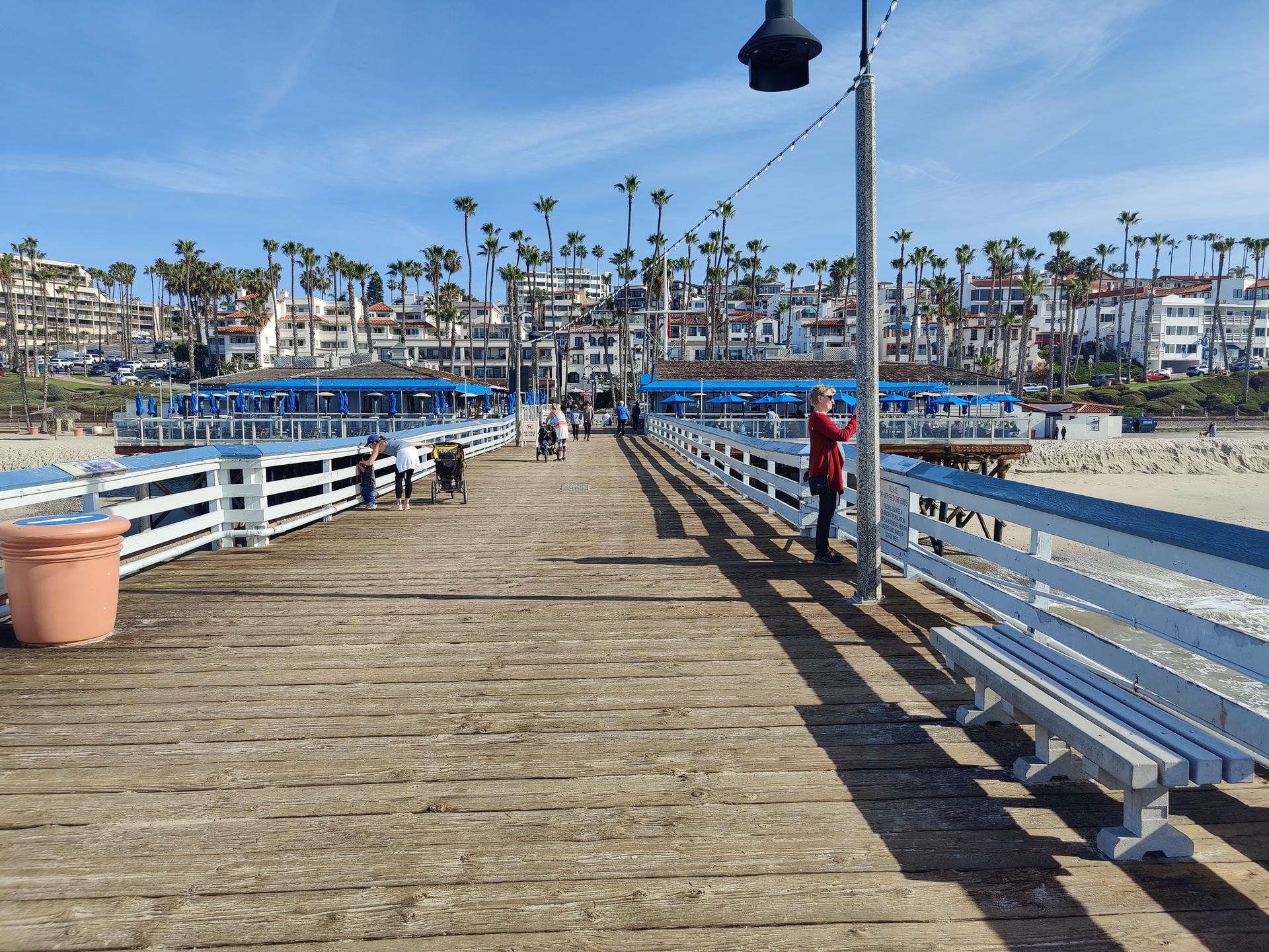 People on a sunny wooden pier with distant buildings and palm trees.