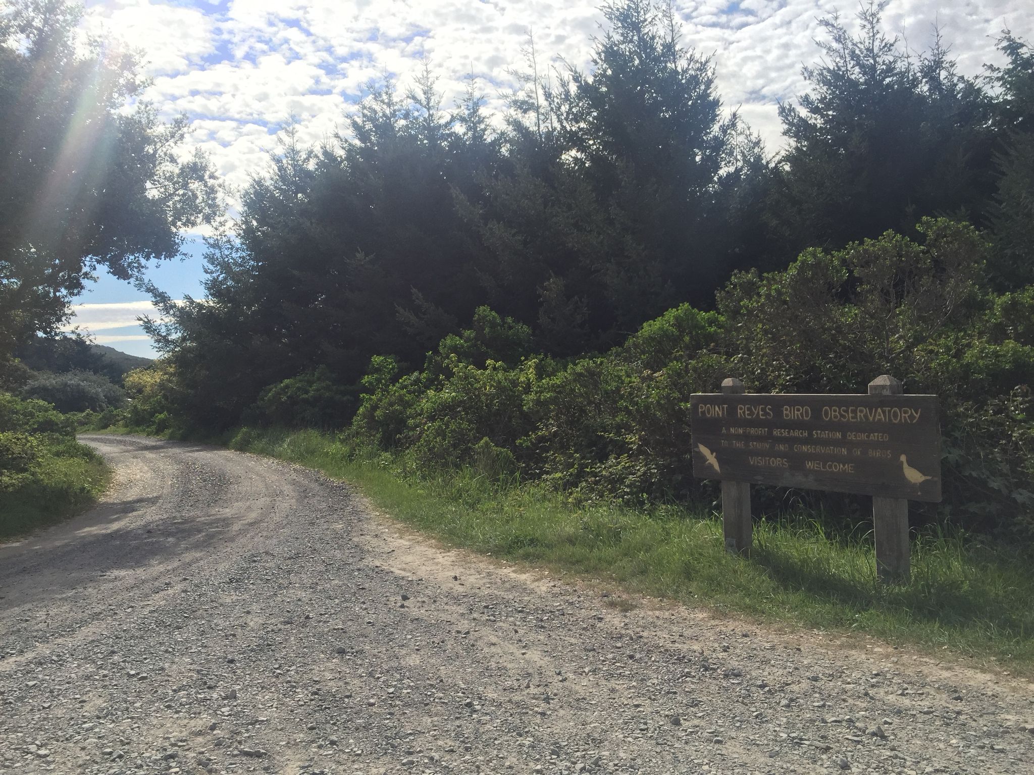Gravel road curves left, sign on right, dense trees under cloudy sky. - Coast, Lake Ranch, and Ridge Trail Loop