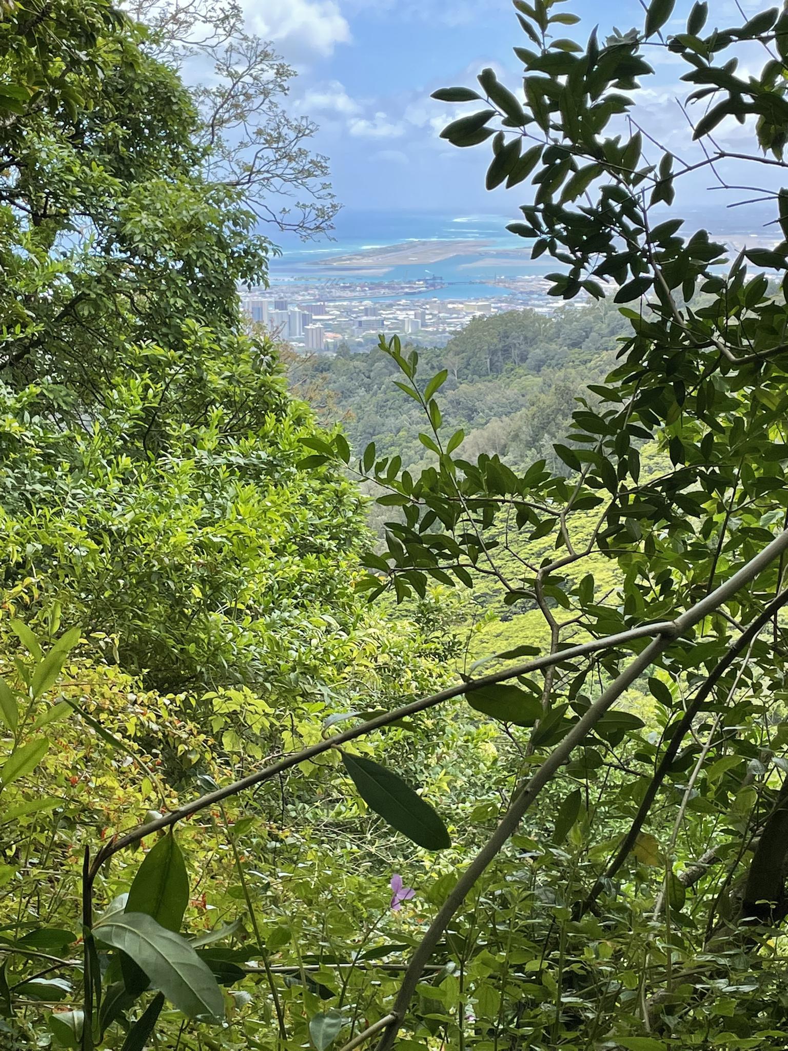 Lush green hillside frames a distant city and ocean under a bright sky.