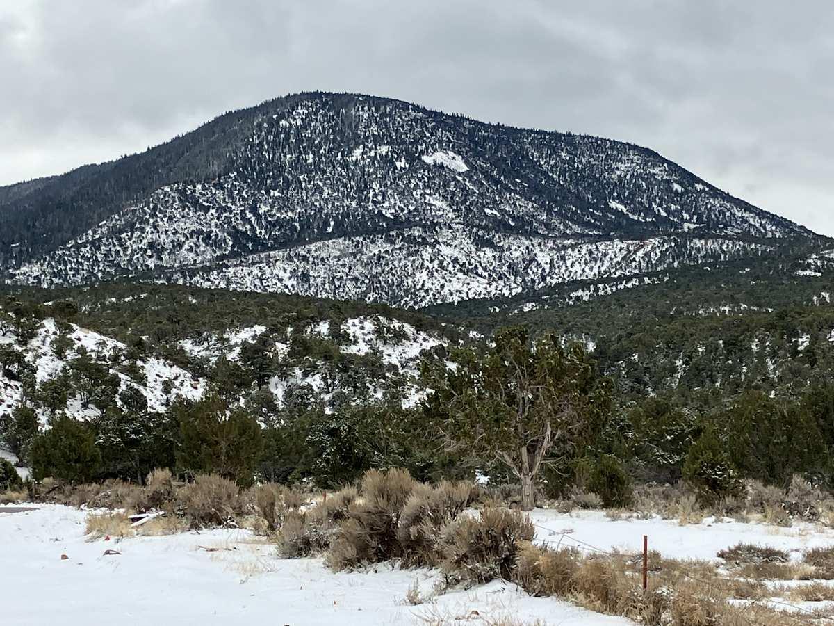 Snow-covered mountain with evergreen trees under an overcast sky.