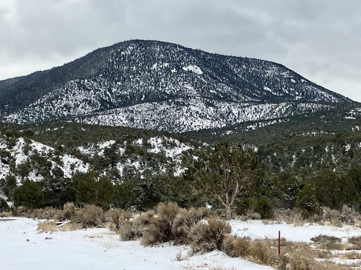 Snow-covered mountain with evergreen trees under an overcast sky. - Cedar Highlands loop