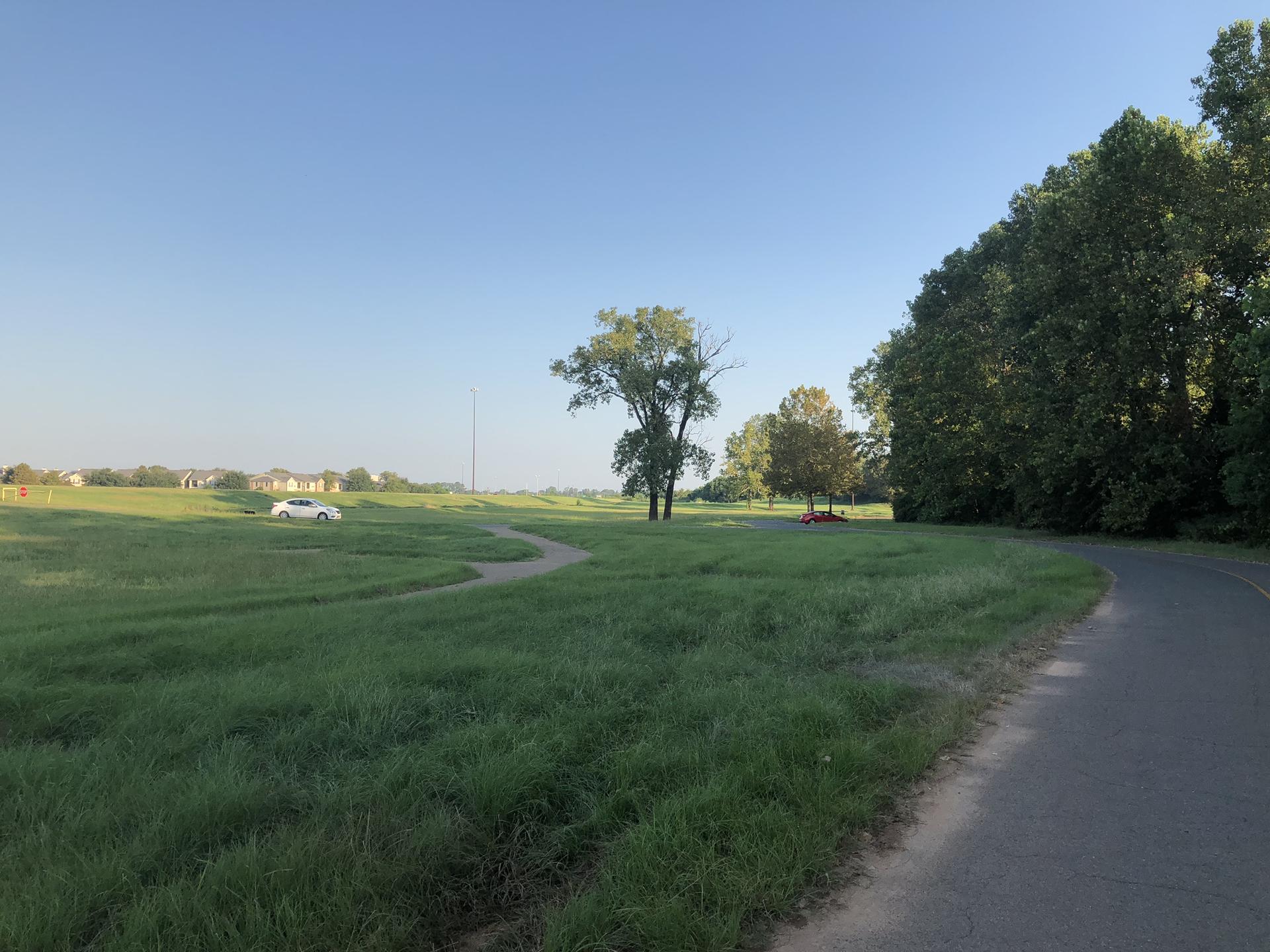 A sunny, wide grassy field with trees, a paved path, and a white car.