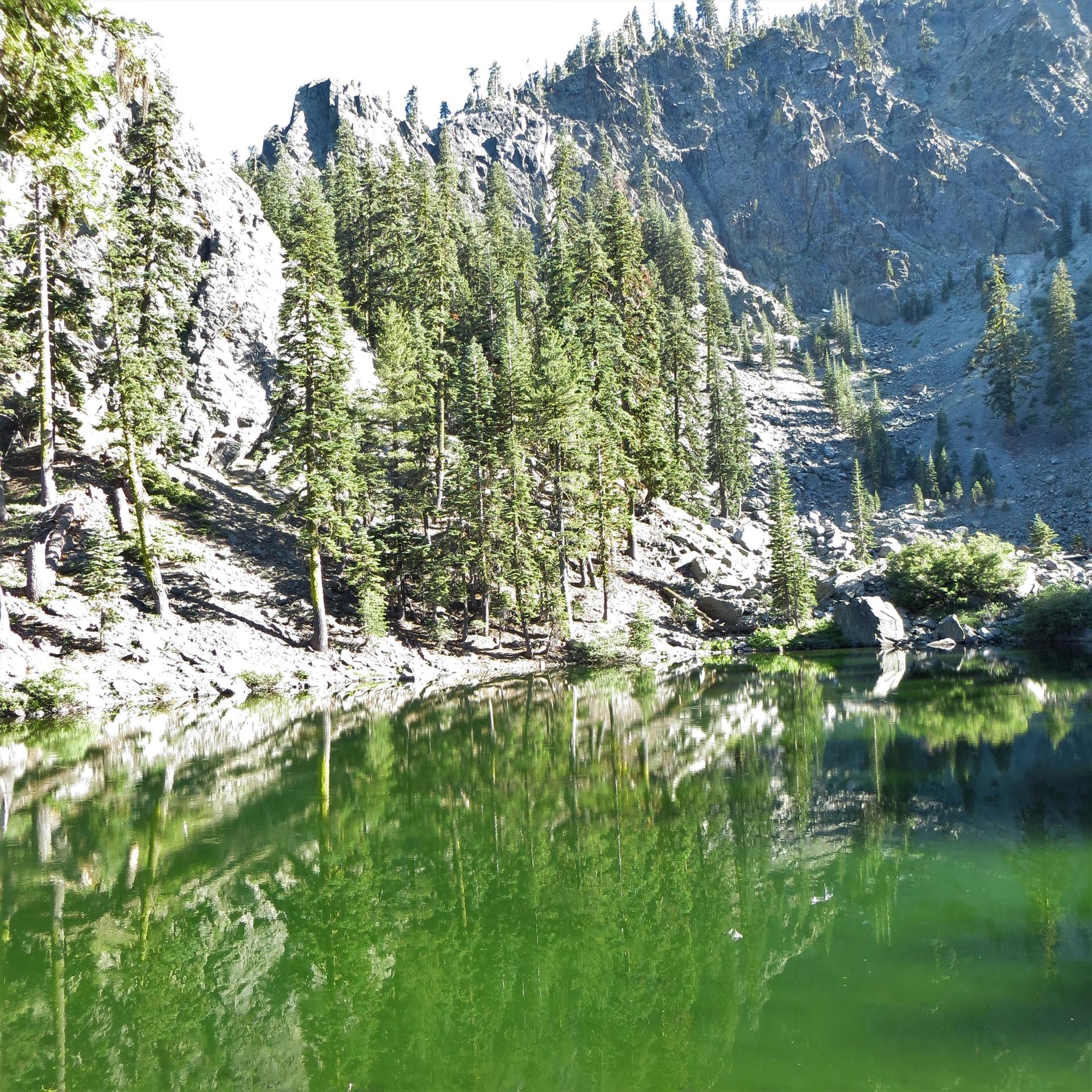 Green lake reflecting pine trees and rocky mountains under bright sunlight.