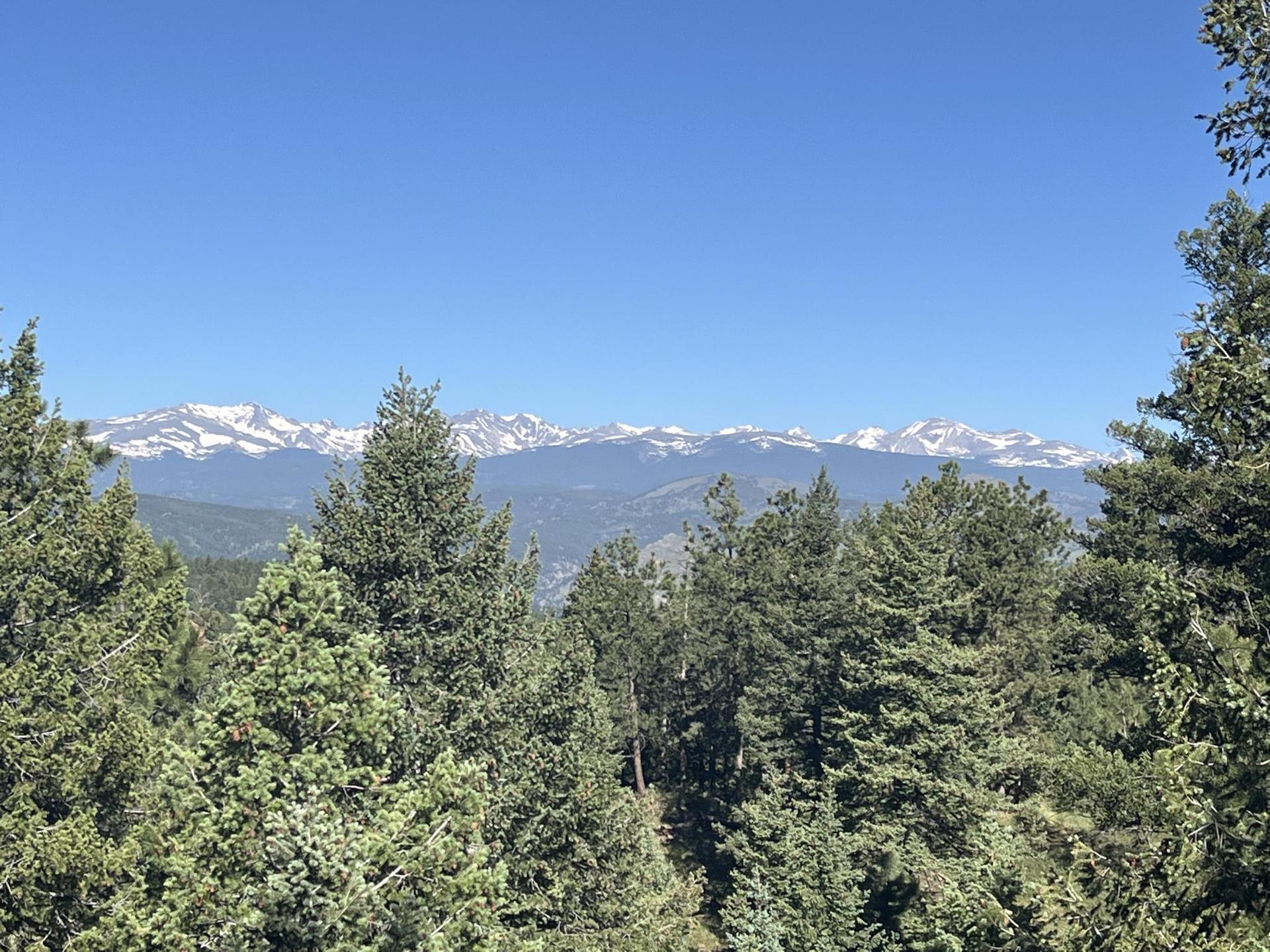Snow-capped mountains rise above a dense green forest under a clear blue sky.