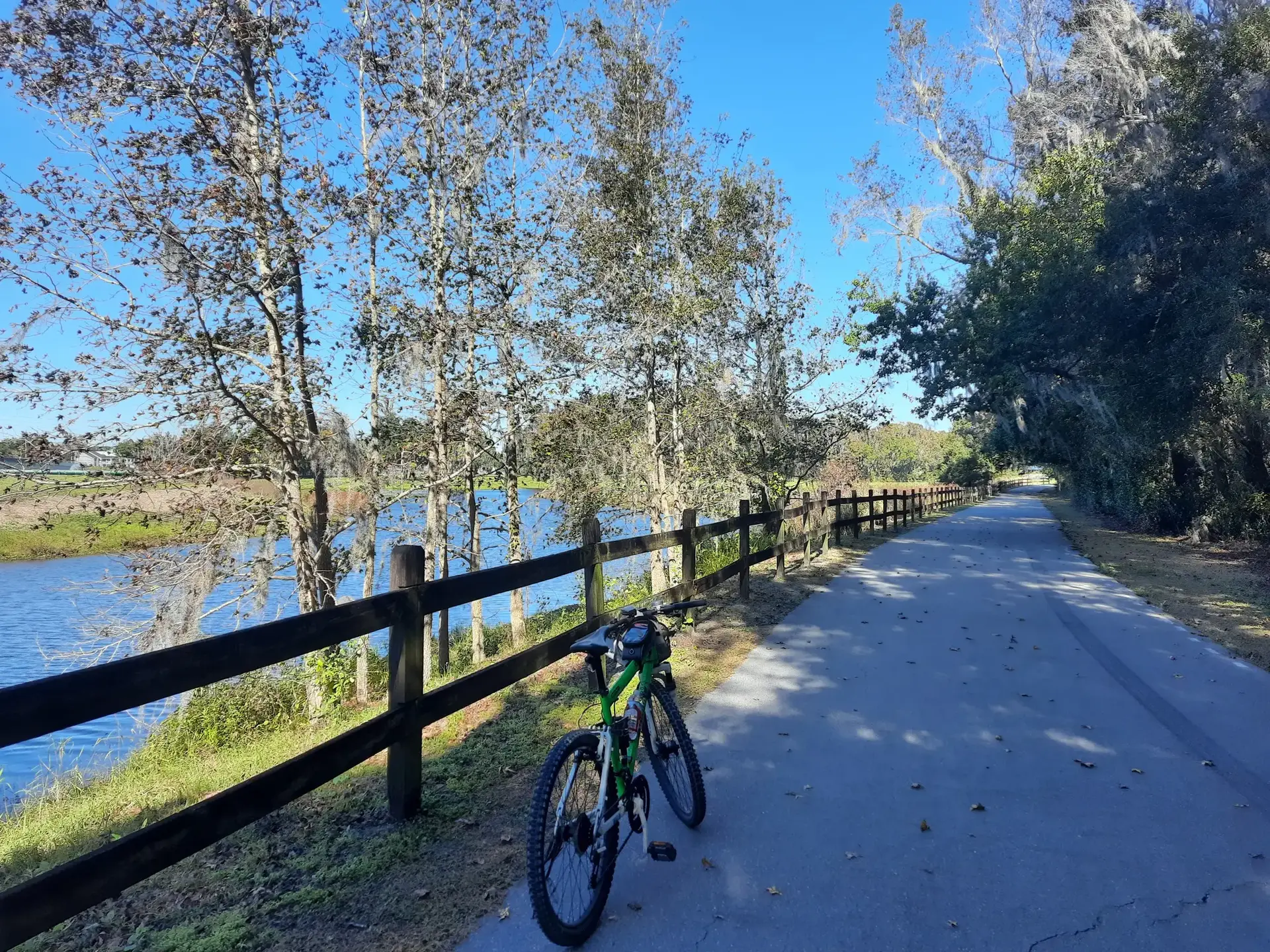 Green bicycle parked on a sunny paved path beside a blue lake.