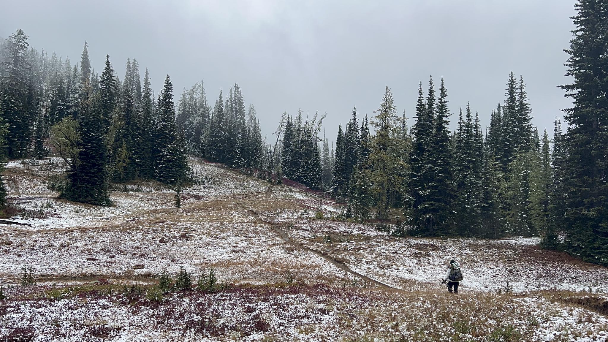 A person walks on a snow-dusted trail through a misty evergreen forest.