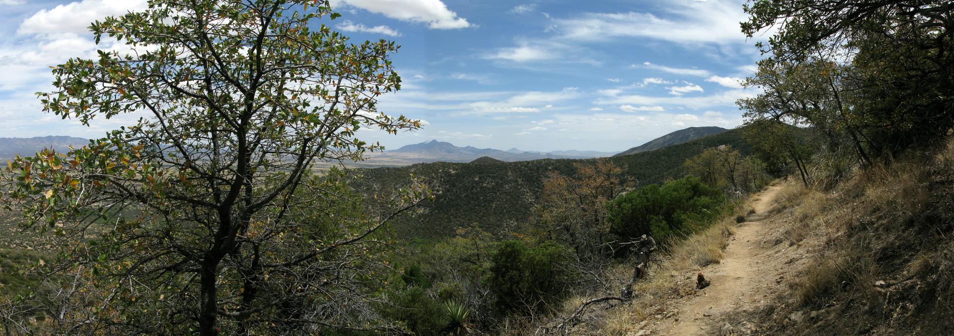 Panoramic view of a winding dirt trail overlooking a vast valley.