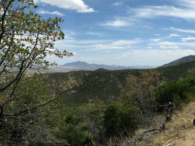 Perimeter Trail to Clark Spring Trail Loop in Miller Peak Wilderness