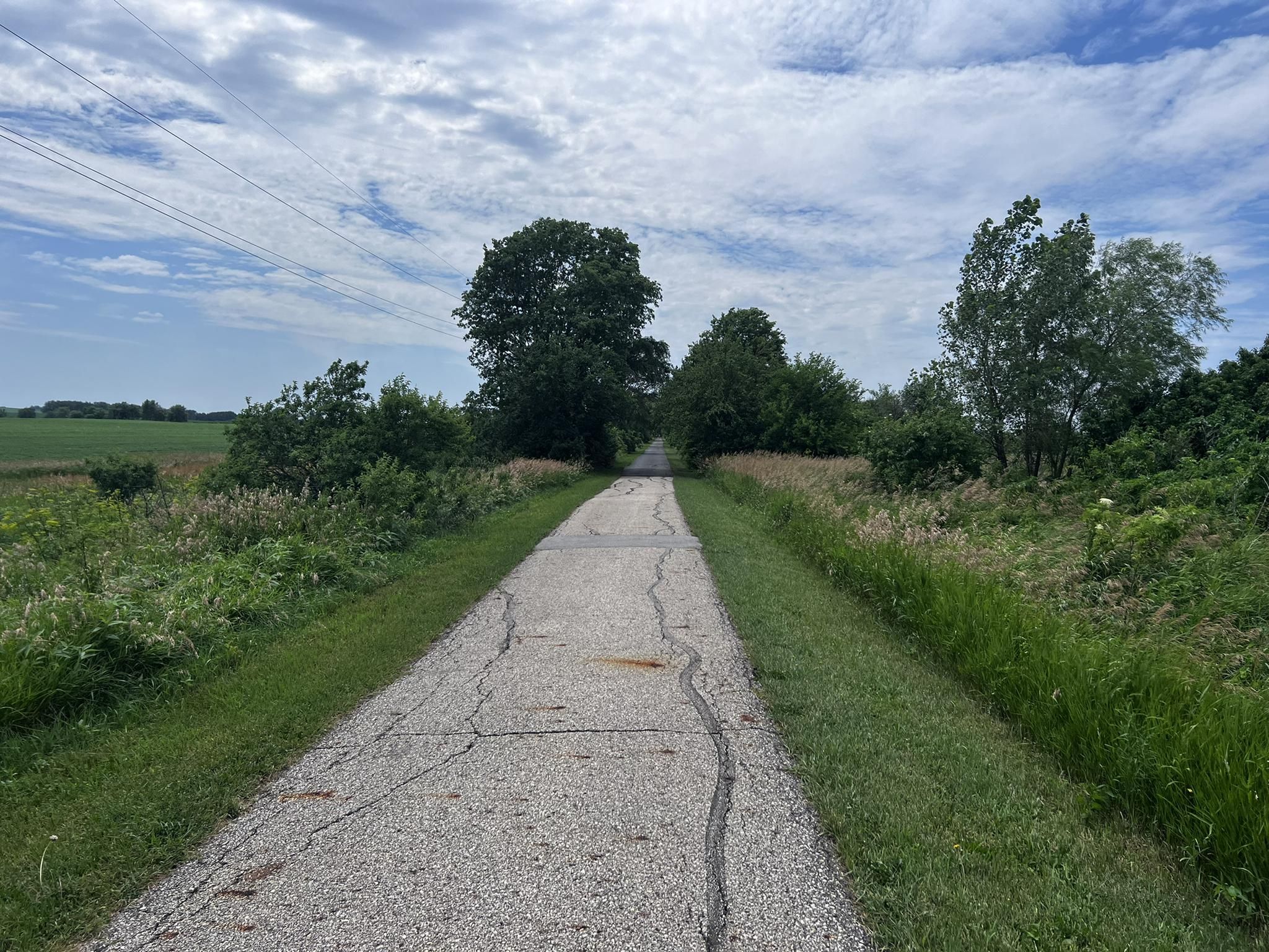 Paved path through green fields and trees under a cloudy sky. - Raccoon River Valley Trail Loop