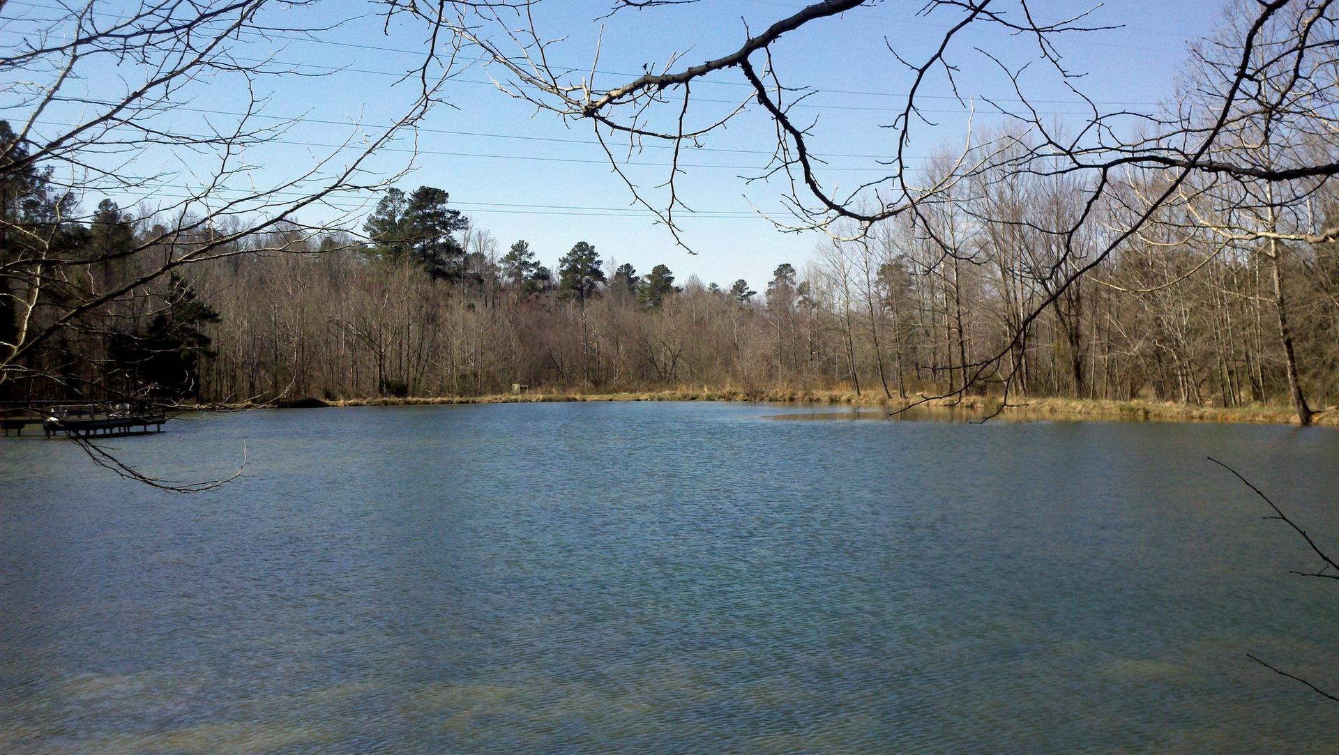 A calm lake with a dock, surrounded by bare winter trees under a clear sky.