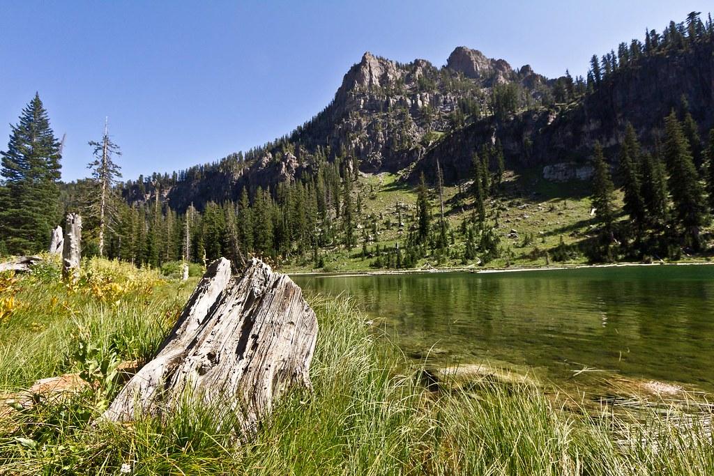 A clear mountain lake with a large tree stump, rocky peaks, and pine trees.