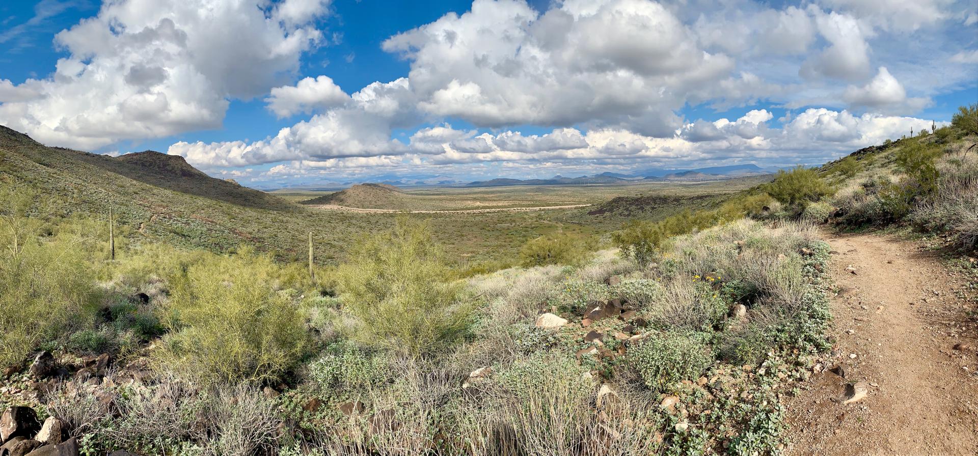Panoramic view of a desert valley with a trail and cloudy sky.
