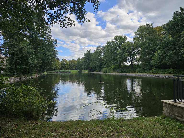41+ Langer Teich Zwickau, Der langer teich ist ein 0,8 ha großer see