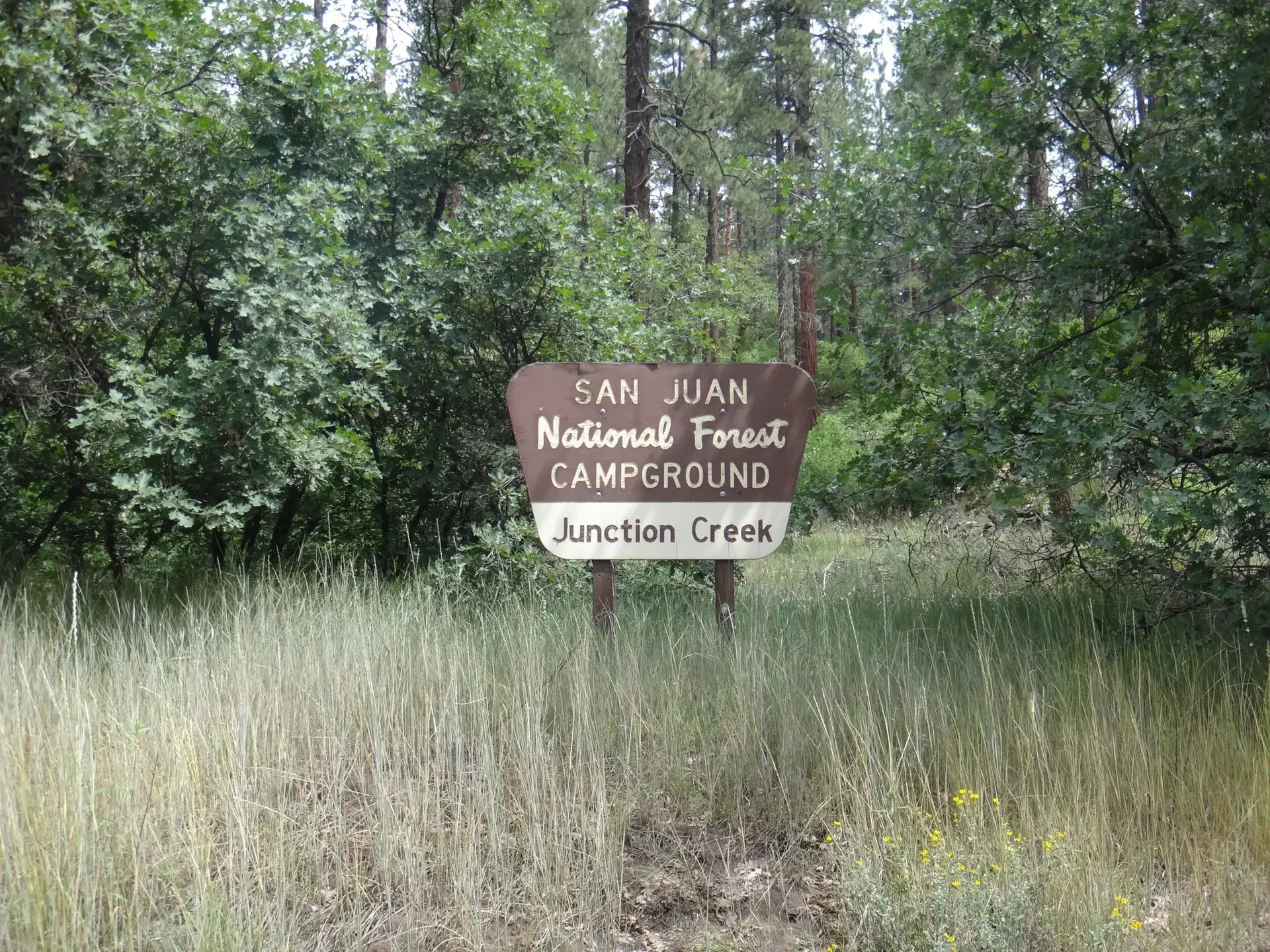 A brown and white sign stands in tall grass before green trees.