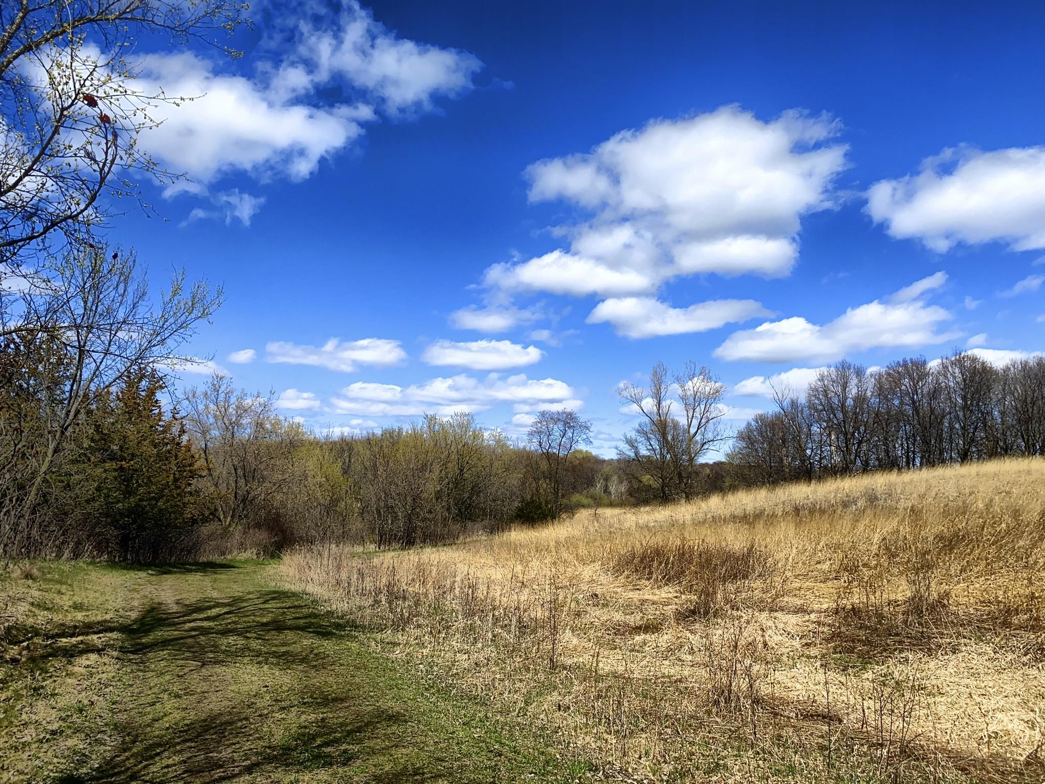 A sunny field with dry grass and distant trees under a bright blue sky. - Crow-Hassan Perimeter Loop