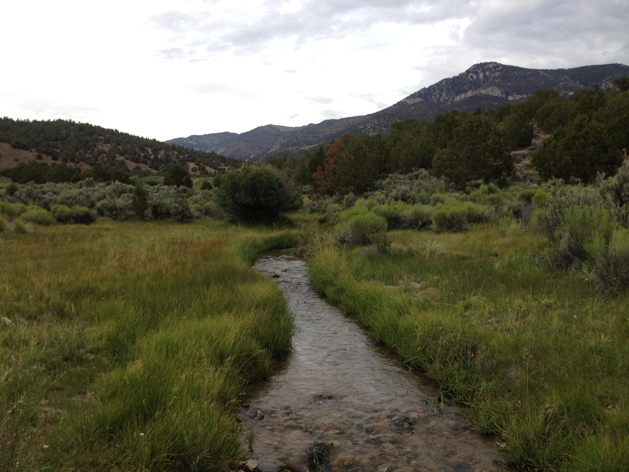 Small stream winding through a green grassy field with distant mountains.