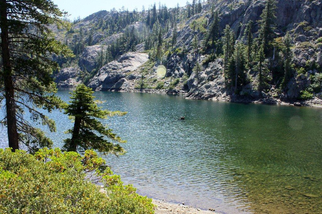 A clear lake with rocky shores and green trees under bright sunlight.