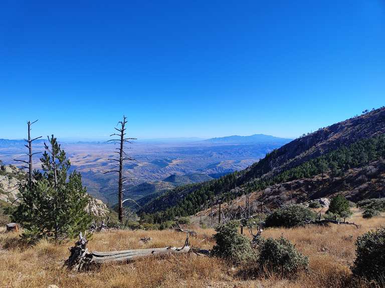 Upper Old Baldy Trail: Wanderungen und Rundwege | komoot