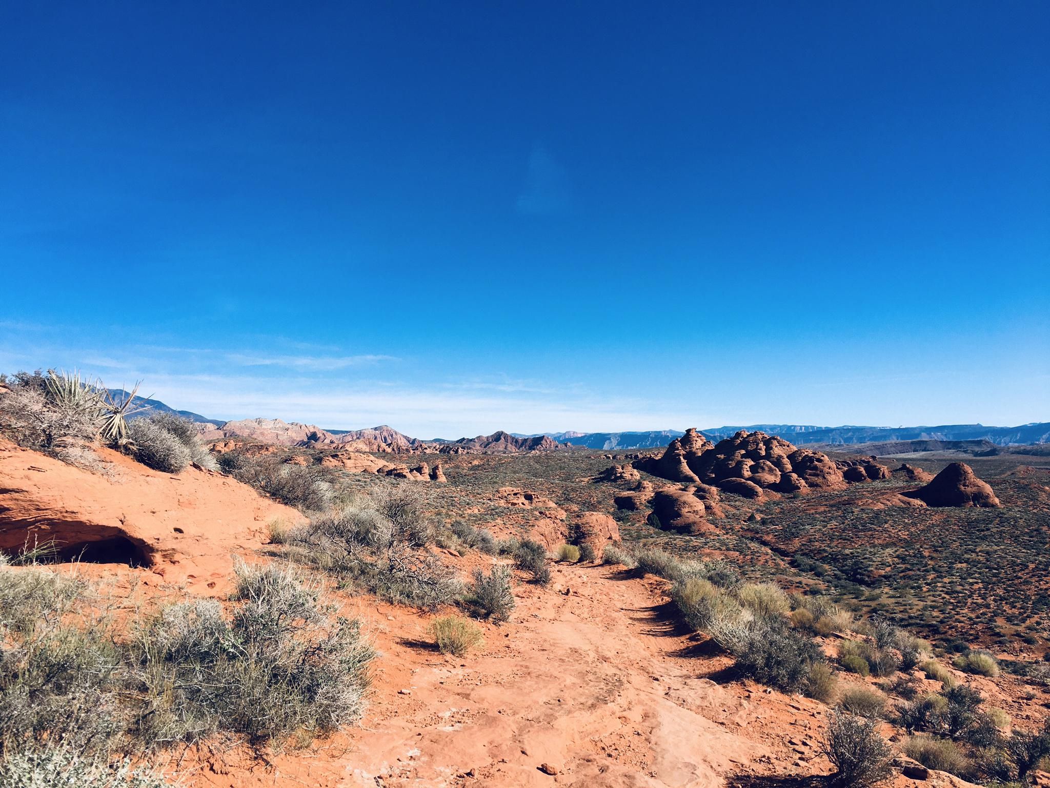 Sunny desert landscape with red dirt, green bushes, and distant rock formations. - Church Rocks and Prospector Trail Loop