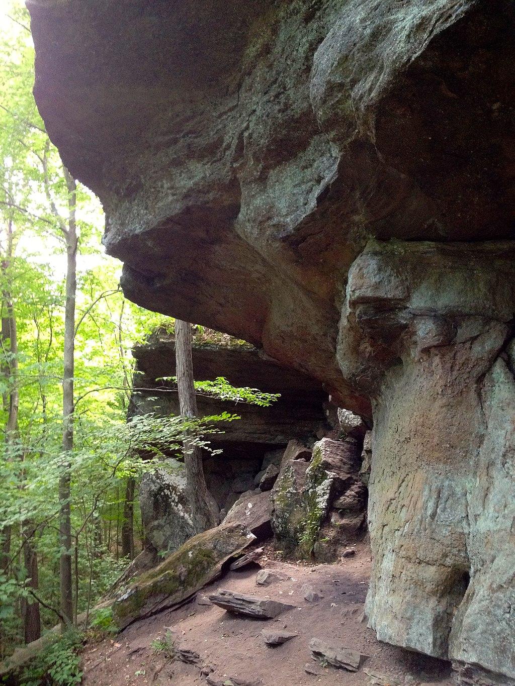 Large rock overhangs create a natural shelter in a shaded forest.
