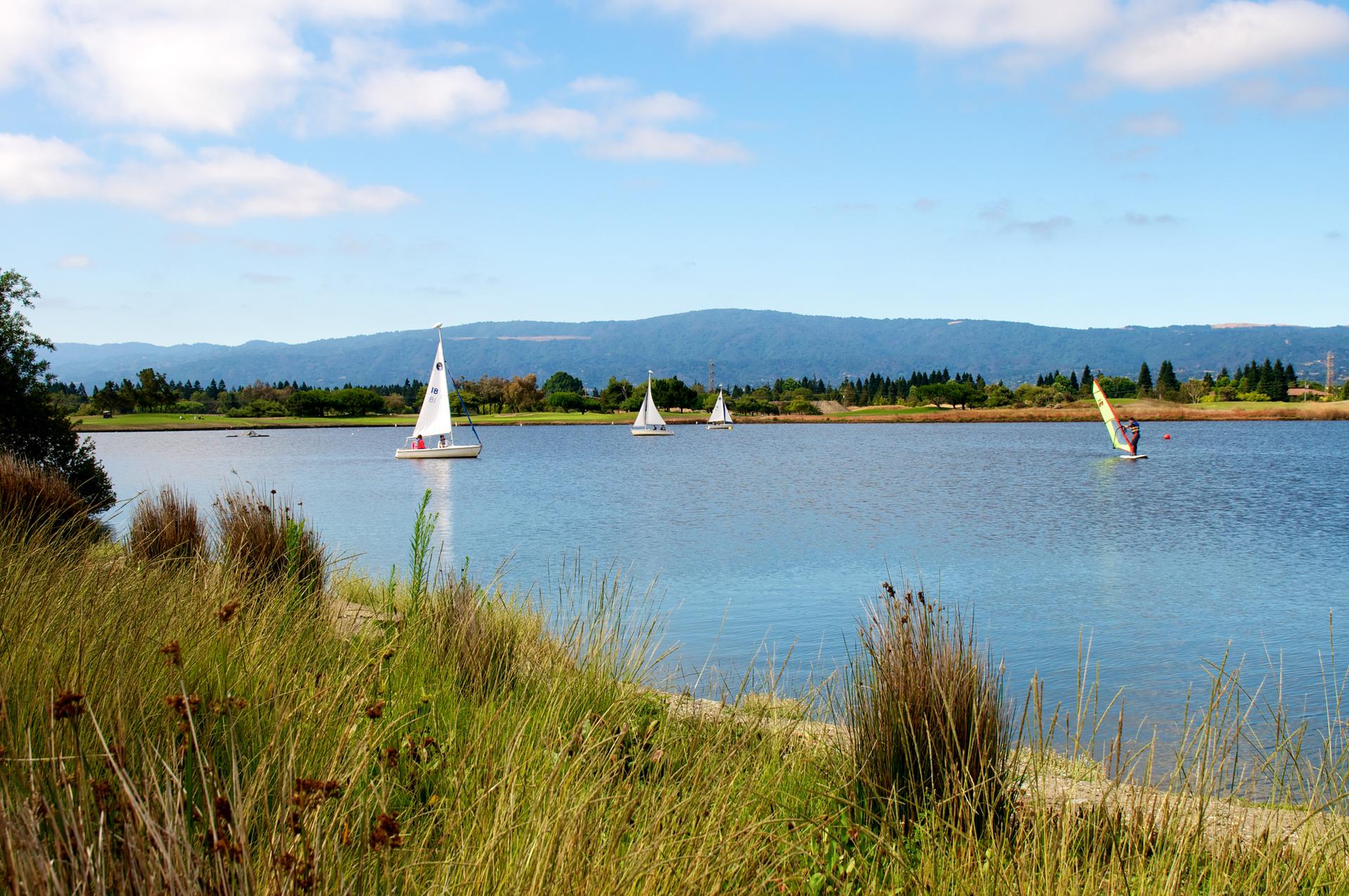 Several sailboats glide on a sunny lake with grassy shores and distant mountains.