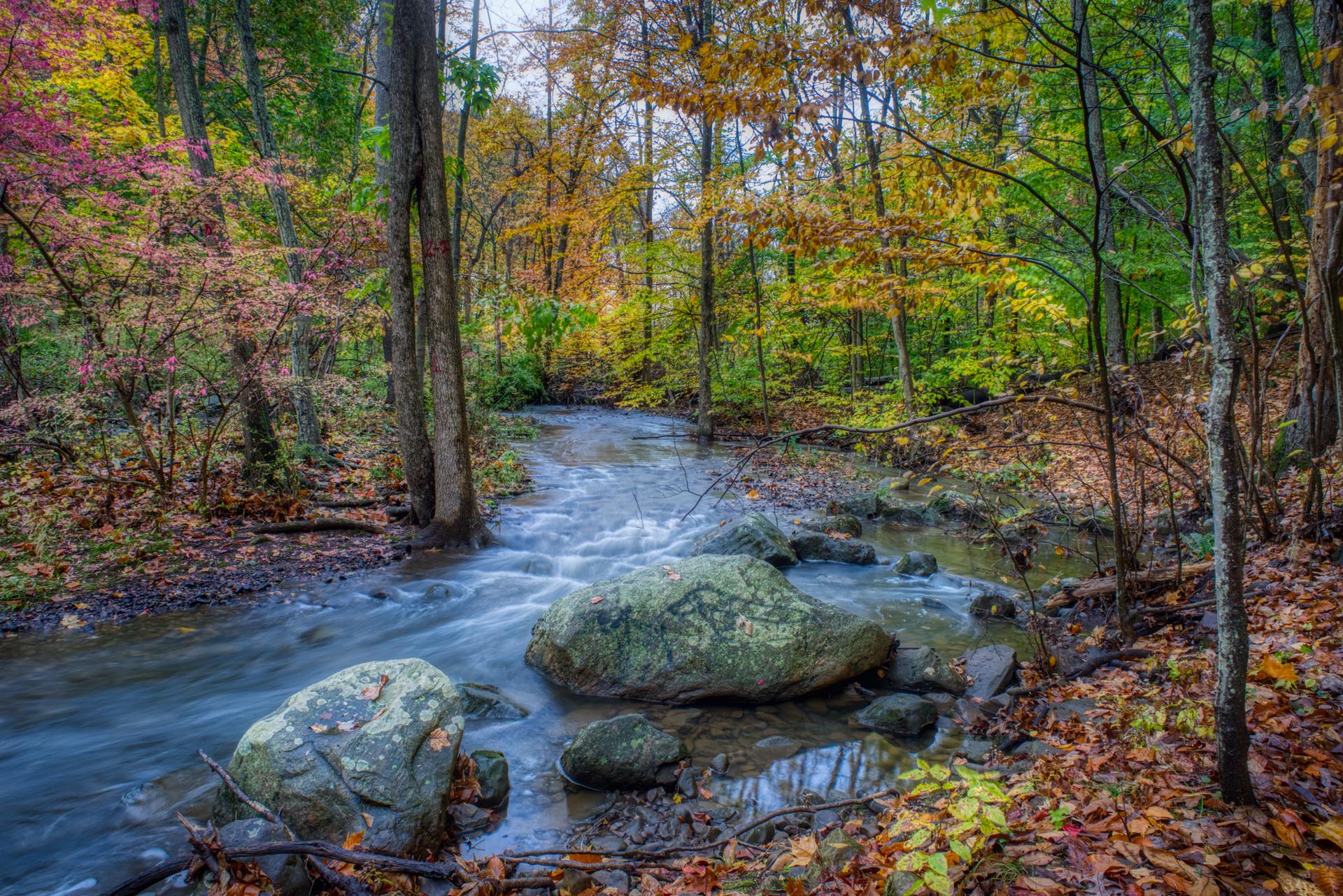 Rushing stream with large rocks, surrounded by vibrant autumn forest colors.