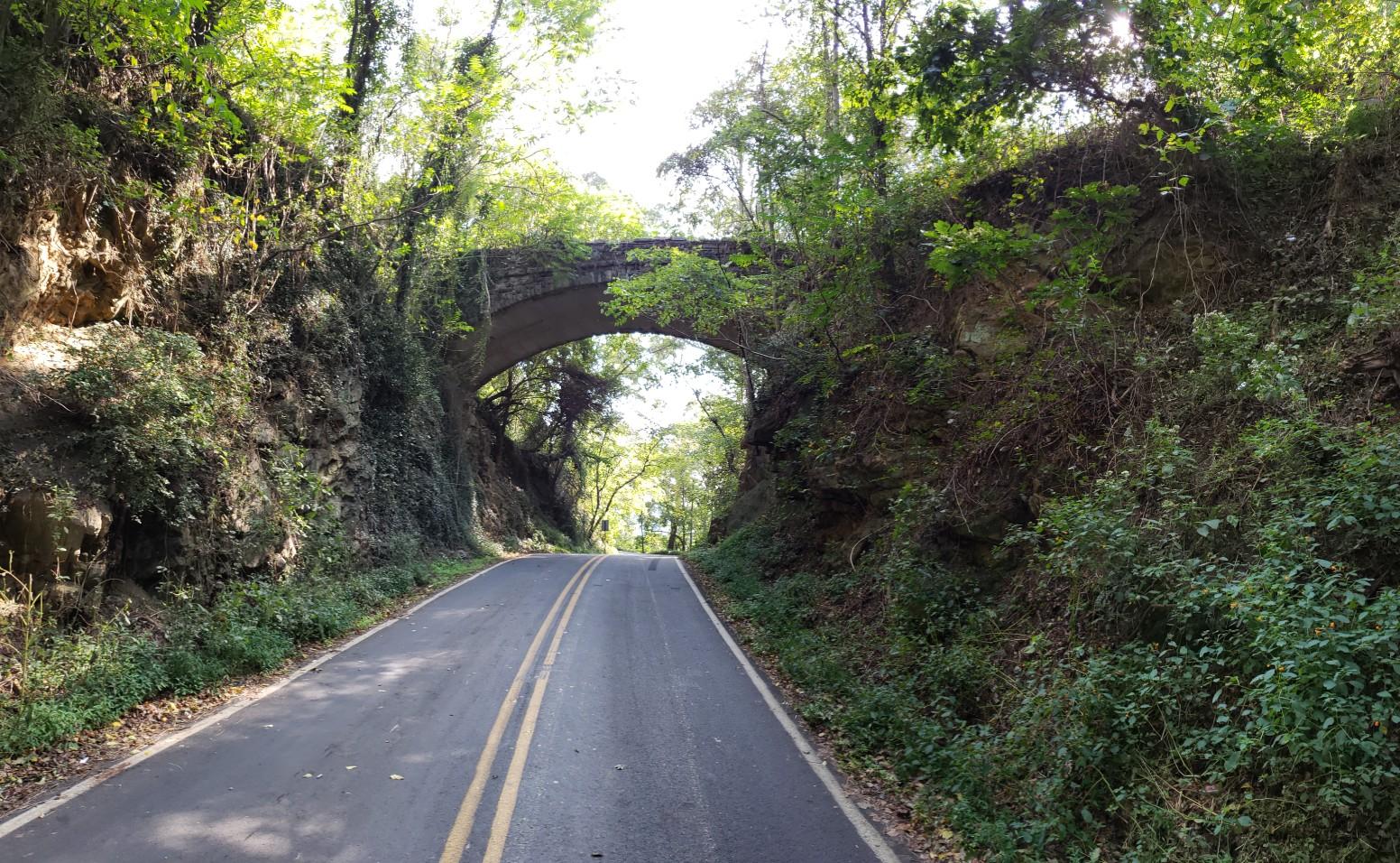 Paved road under a stone arch bridge, surrounded by lush green foliage in bright light.