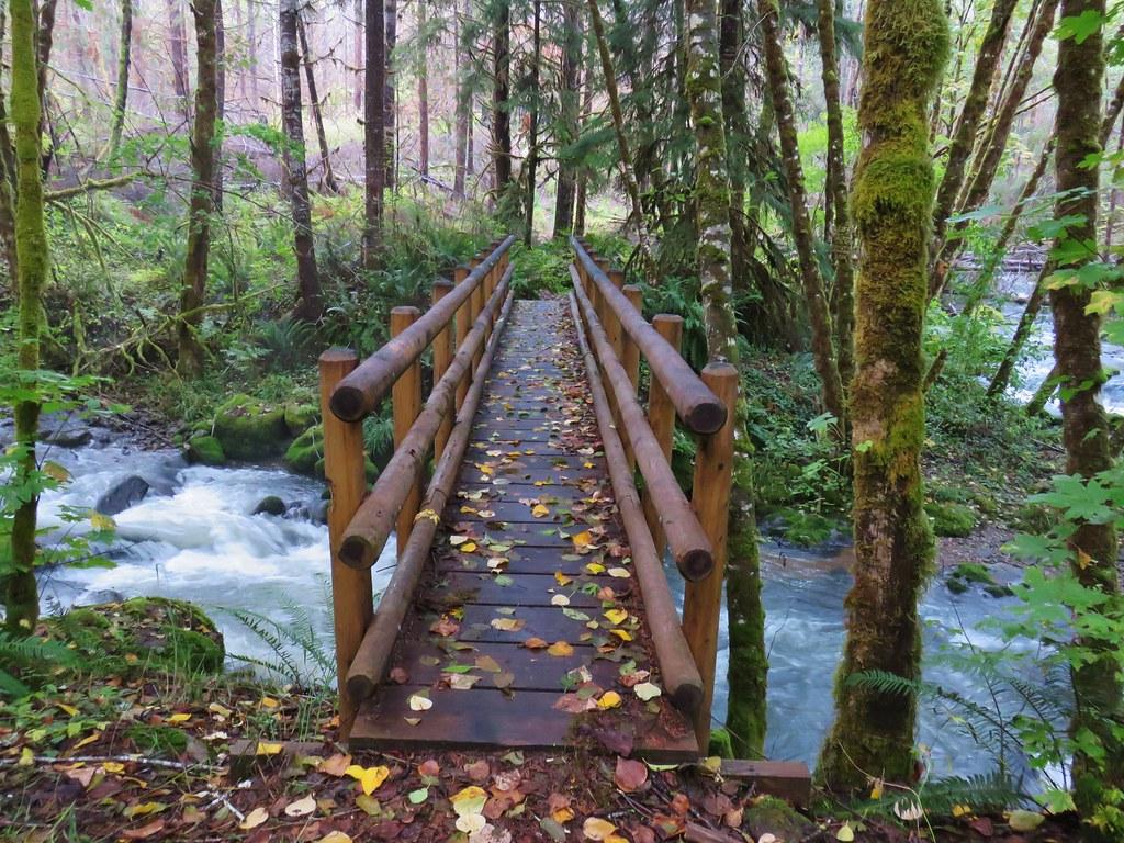 A wooden bridge covered in autumn leaves crosses a rushing river in a lush forest.