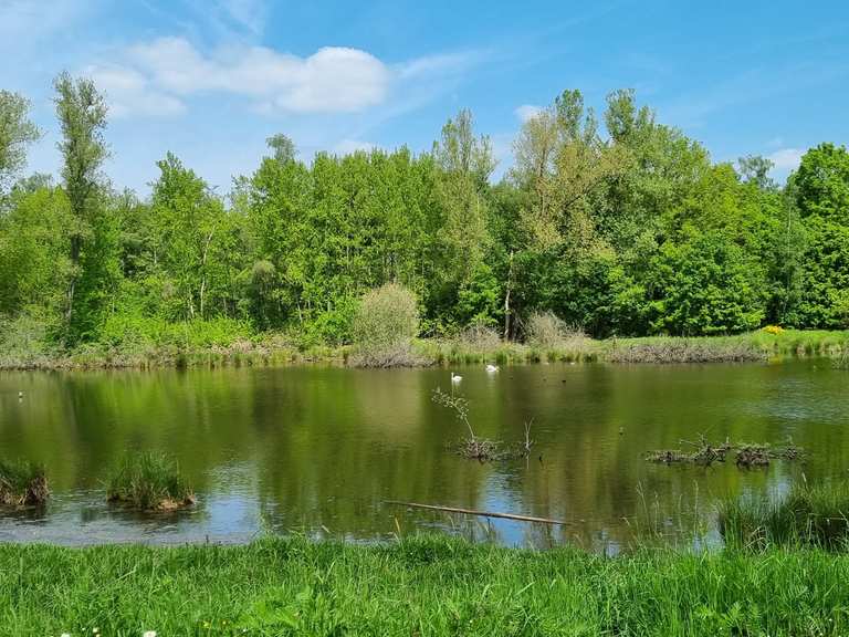 Teich in der Myhler Schweiz Radtouren und Radwege komoot