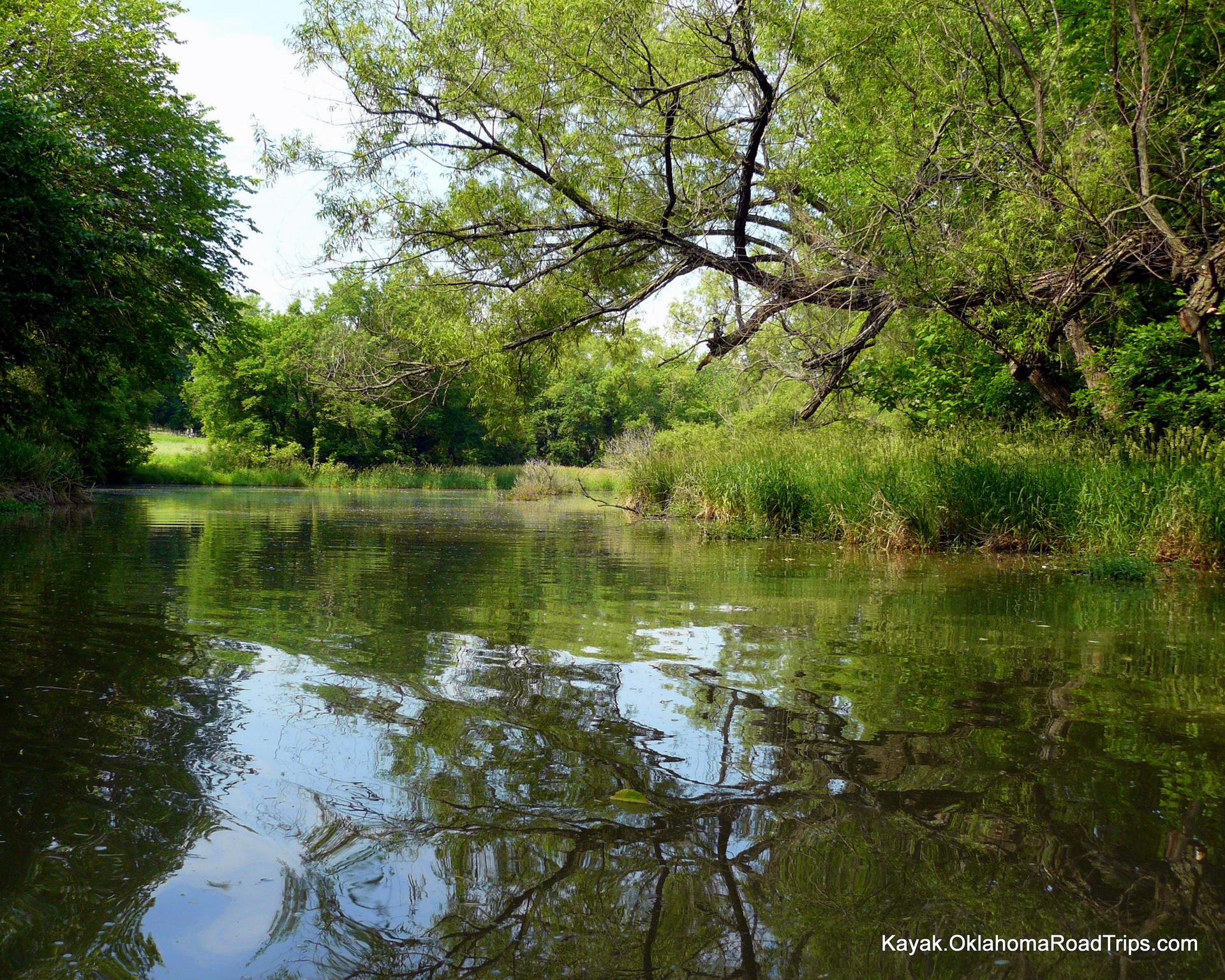 A tranquil green river flows through dense forest under bright daylight.