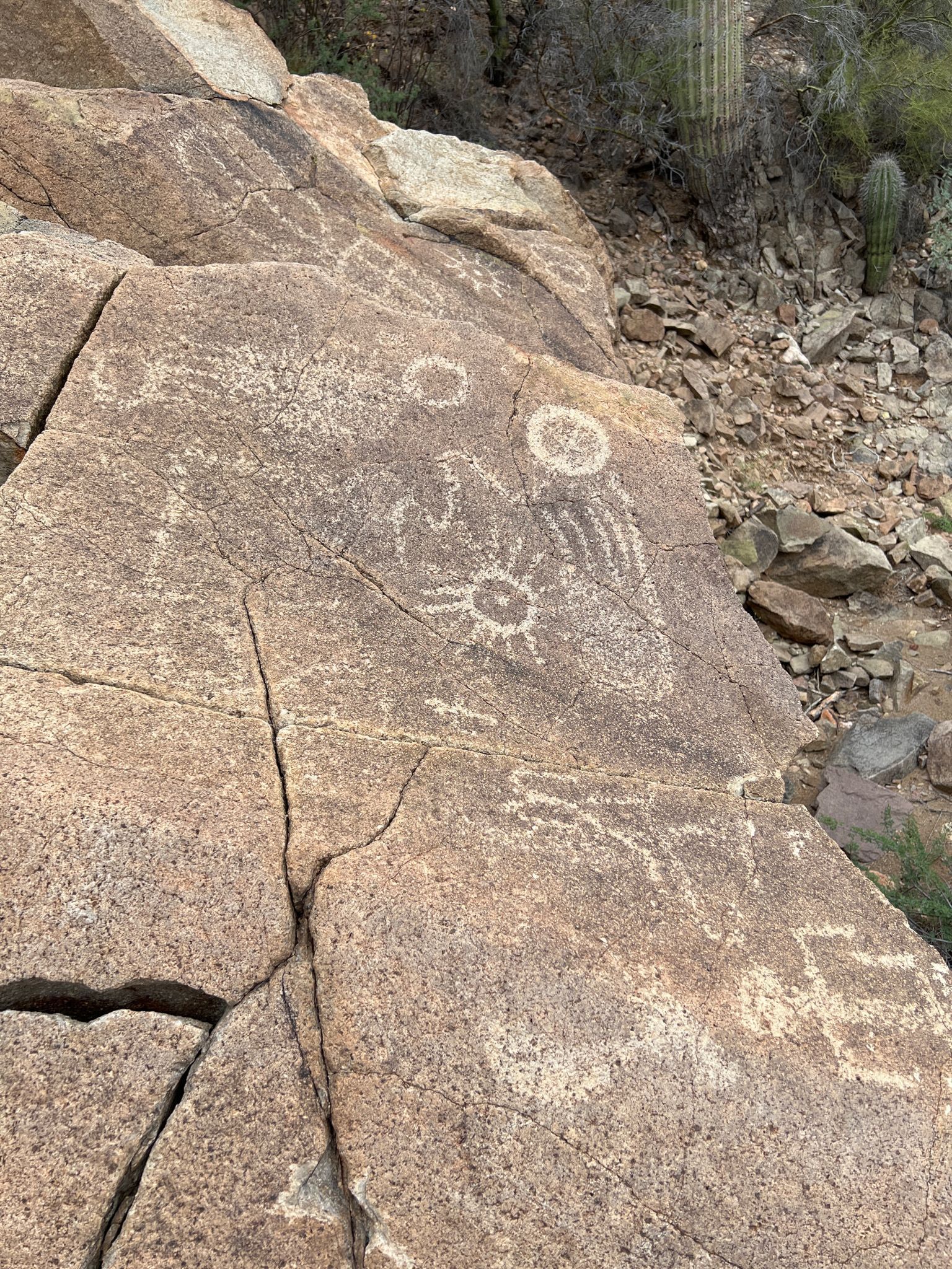 Petroglyphs on a large sunlit rock in a dry, rocky environment. - Ringtail, Picture Rocks, Coyote Pass, Cactus Canyon, Ironwood Loop