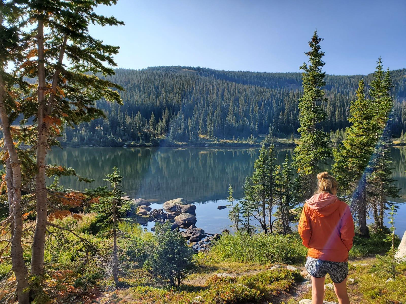 Person in orange jacket views a sunny, forested lake with clear reflections.