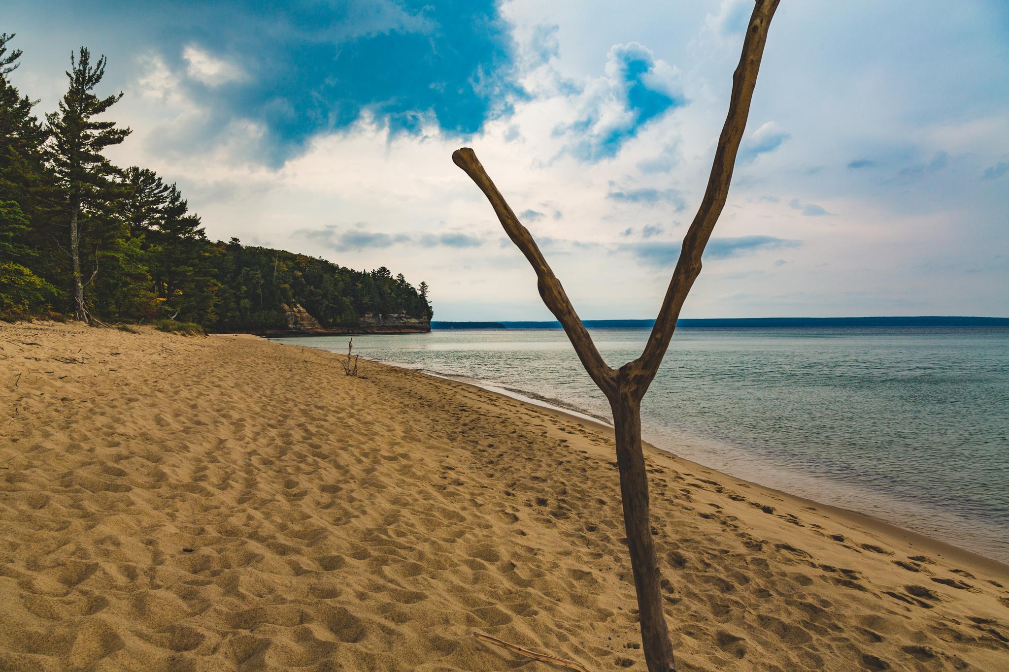 Wide sandy beach with driftwood, calm water, and a forested cliff.