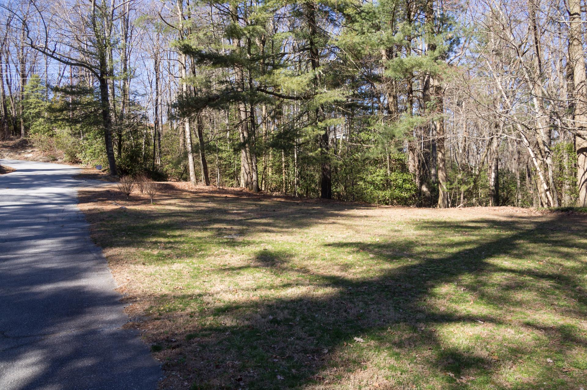 Paved road next to a sunny grassy area and a dense forest.