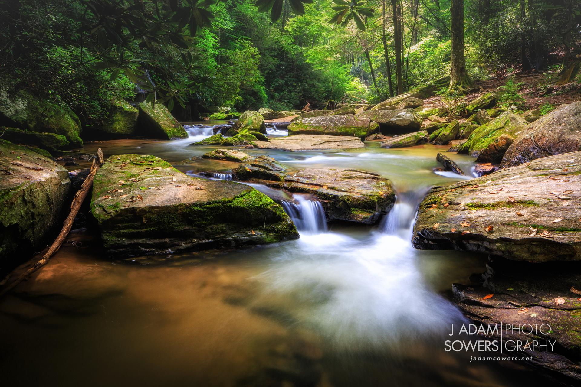 Long exposure of a forest stream cascading over moss-covered rocks.