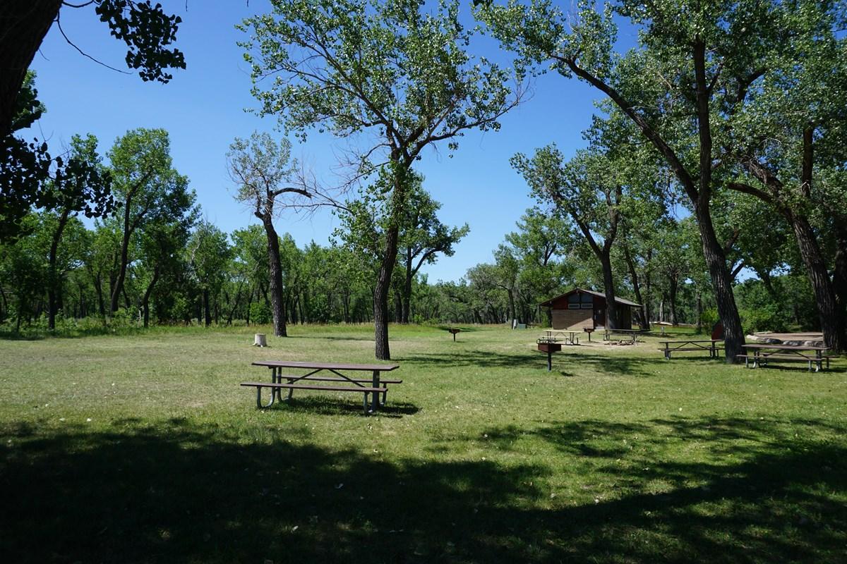 Shady picnic area with tables and a small building surrounded by tall trees.