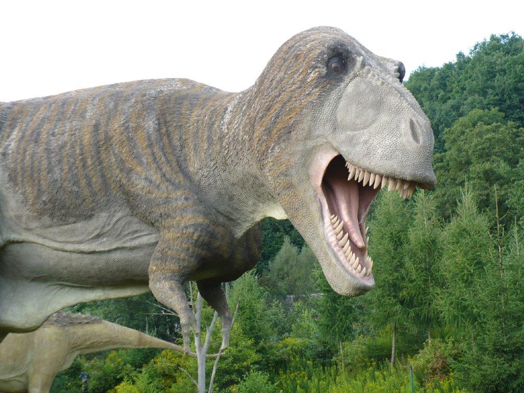 20의 Ćmielów가지 명소 \u0026 주요 장소 | Komoot, image size:1024x768