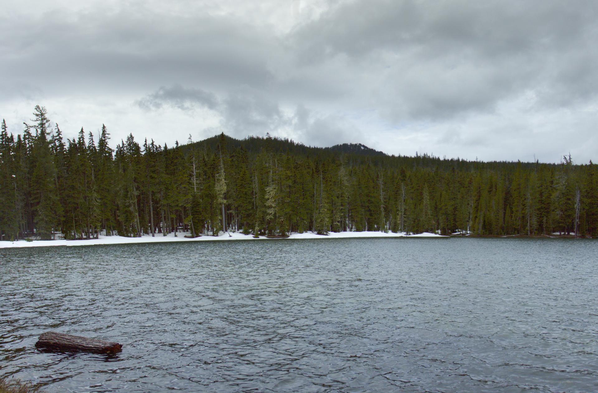 A lake with a log, dense forest, and snow under a cloudy sky.
