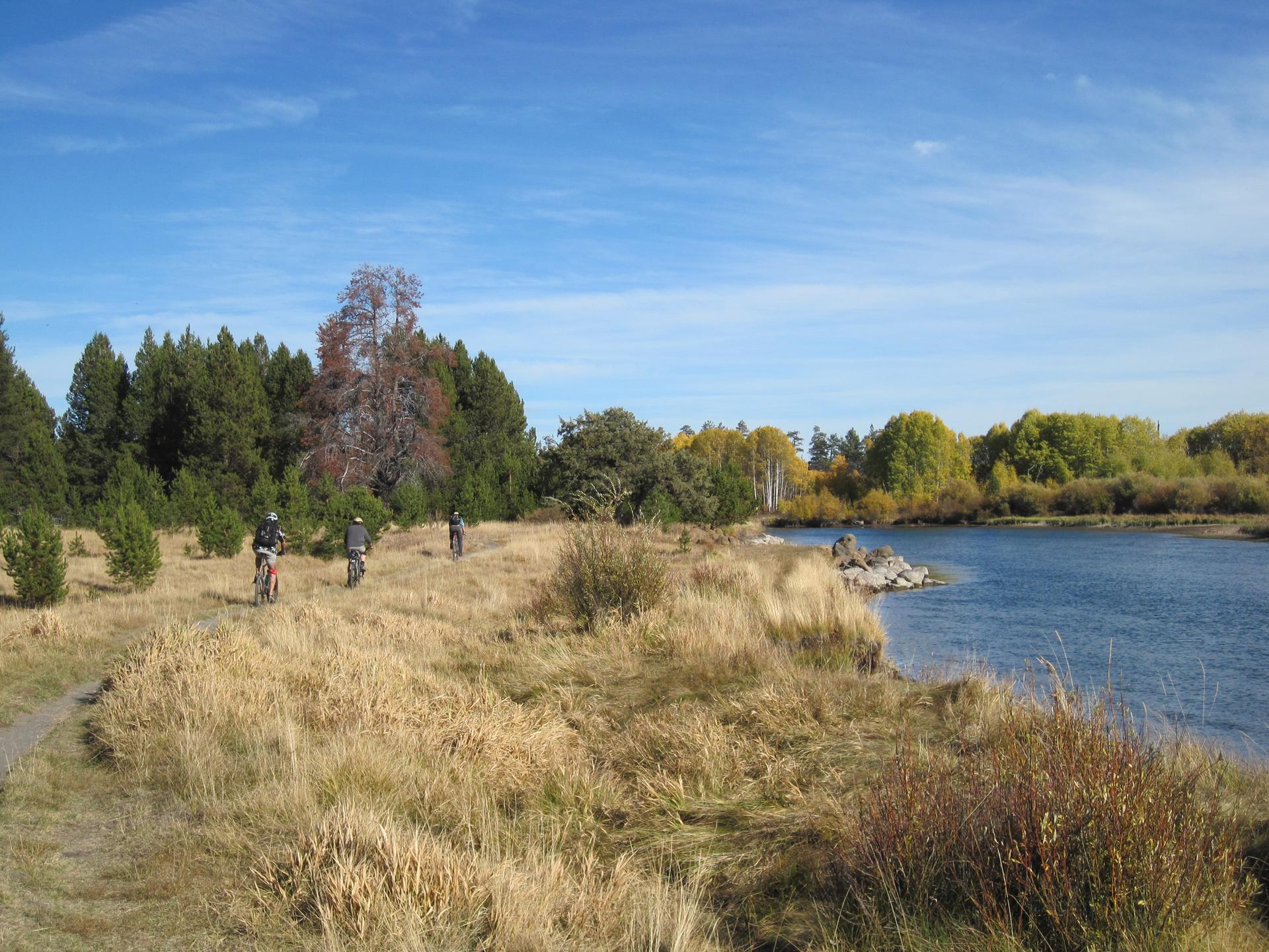 Three cyclists ride along a grassy riverbank under a clear blue sky.